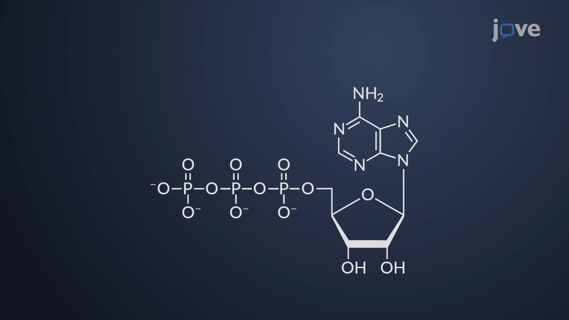 1920x1080 ATP and Energy Production in Microbiology