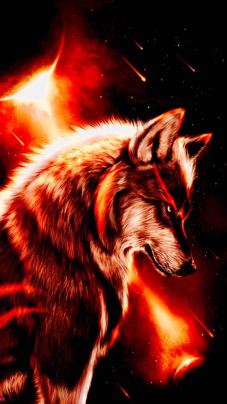 736x1308 Wolf fire