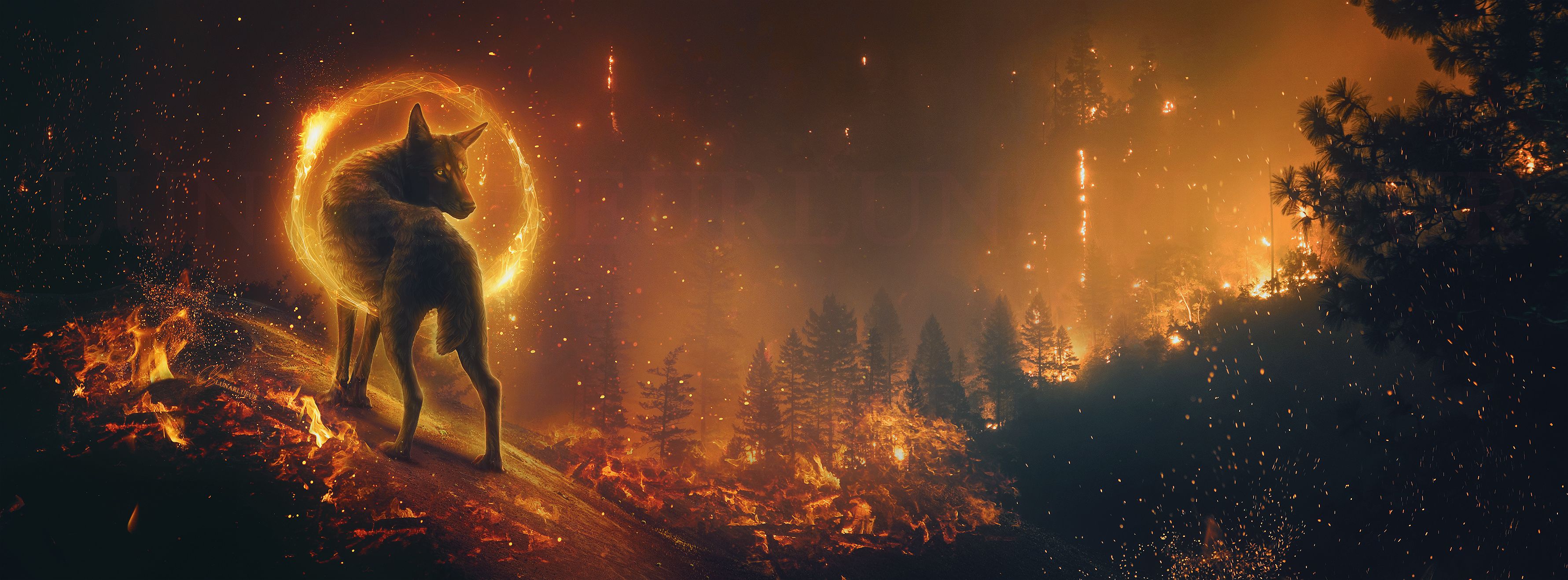3562x1318 Blazing Wolf Guardian: Fantasy Forest Fire HD Wallpaper