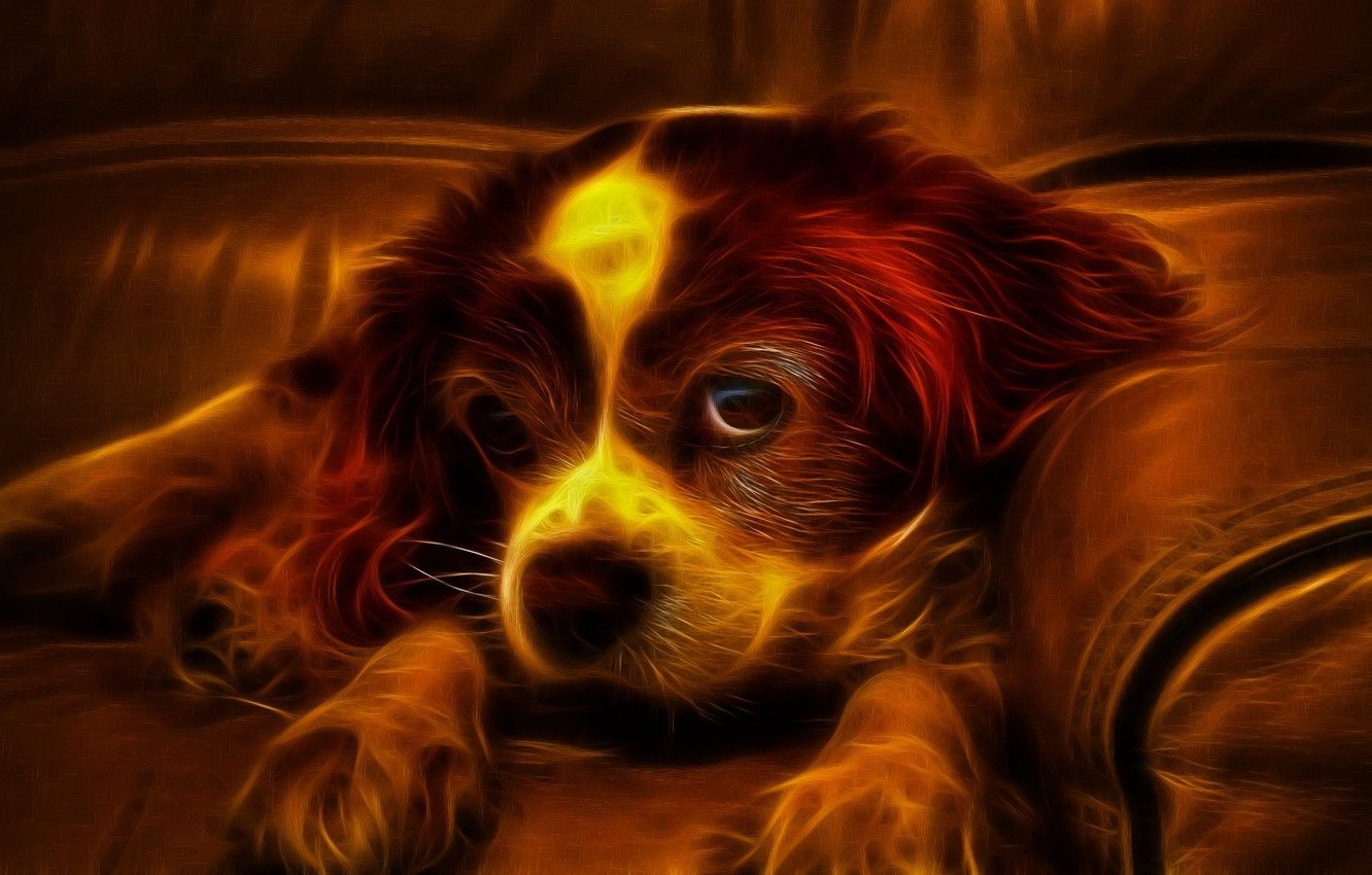 1332x850 Fire Dogs Wallpaper