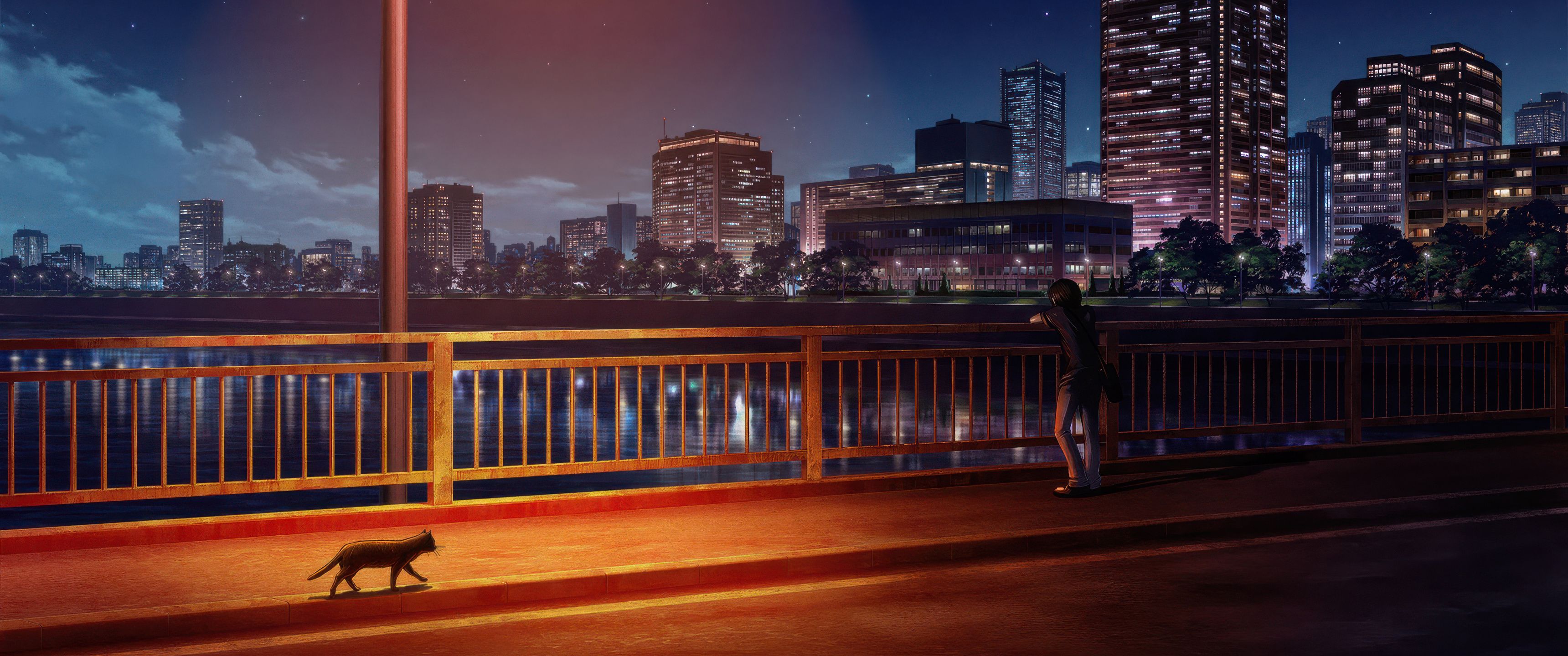 3440x1440 Midnight Cat On The Bridge UltraWide Quad HD 1440P , HD 4k Wallpaper, Image, Background, Photos and Picture