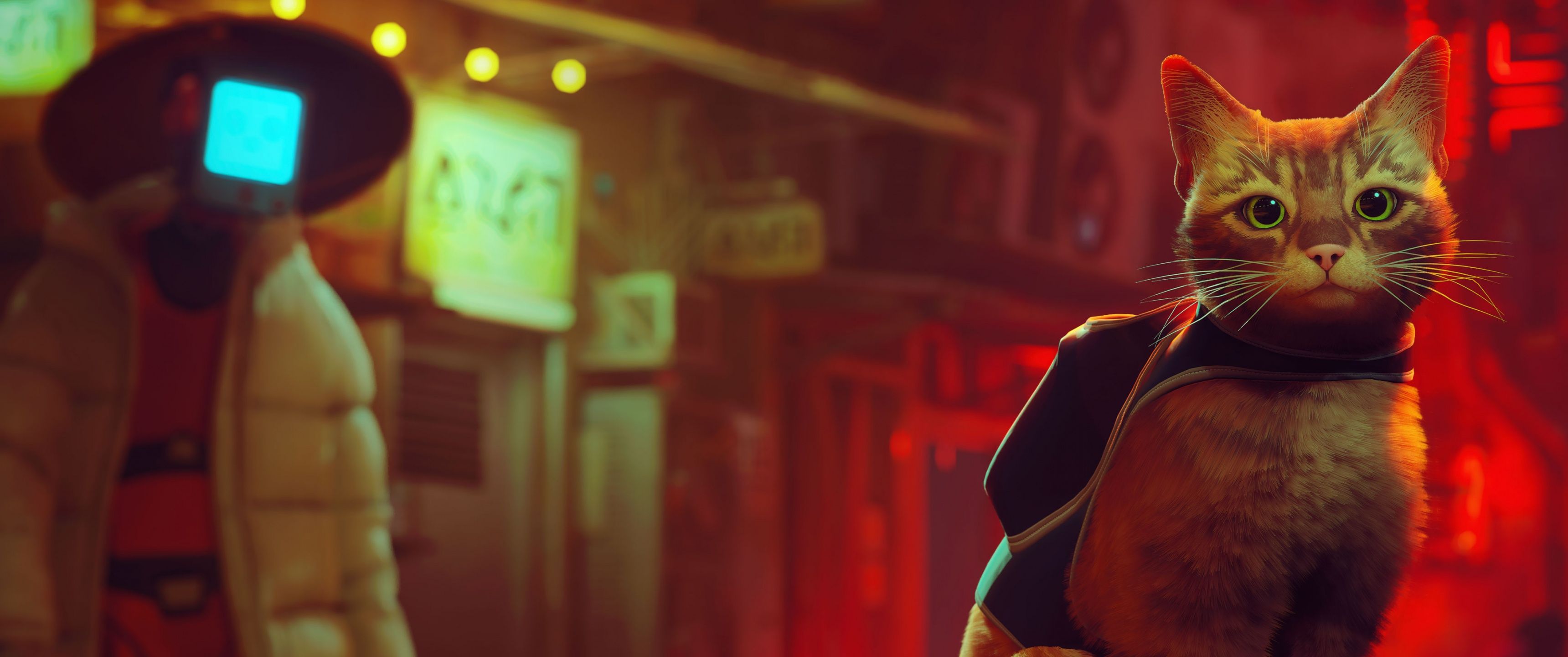 3440x1440 Stray Wallpaper 4K, PlayStation cat, PC Games