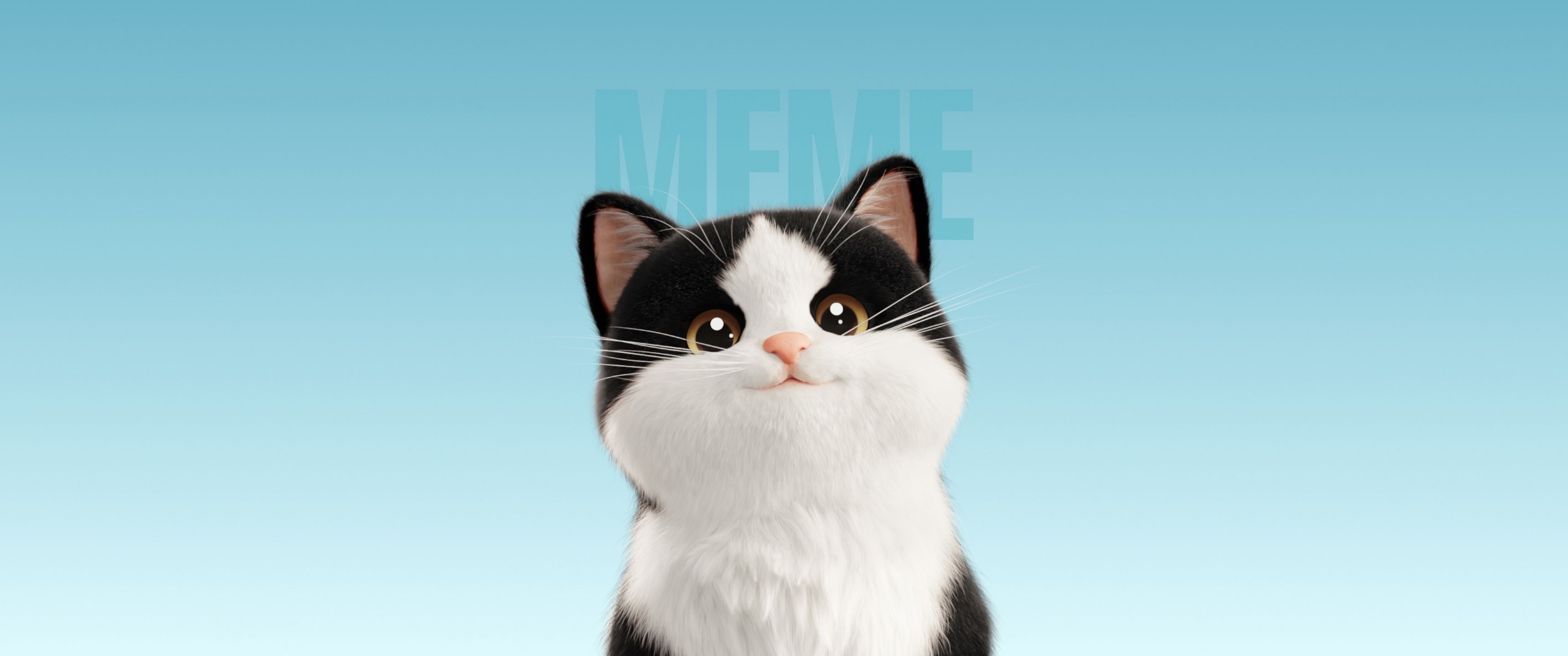 3440x1440 Cute Cat Wallpaper 4K, Cartoon, Meme, Blue background