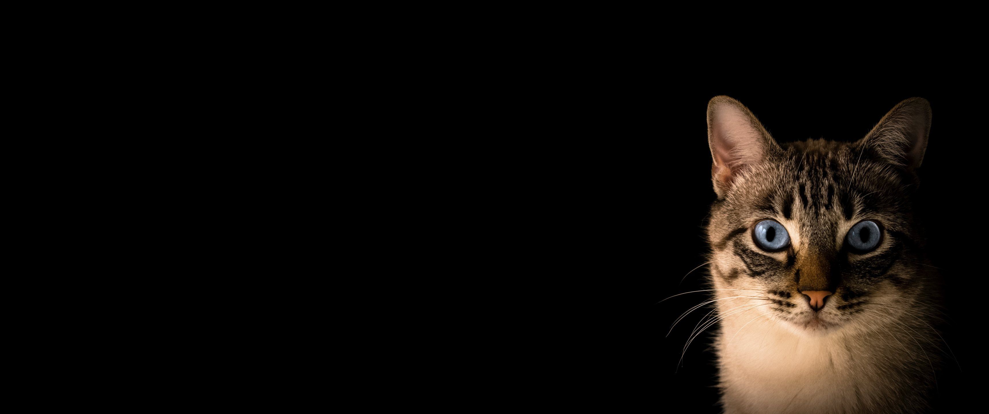 3440x1440 OLED Background [3440x1440]