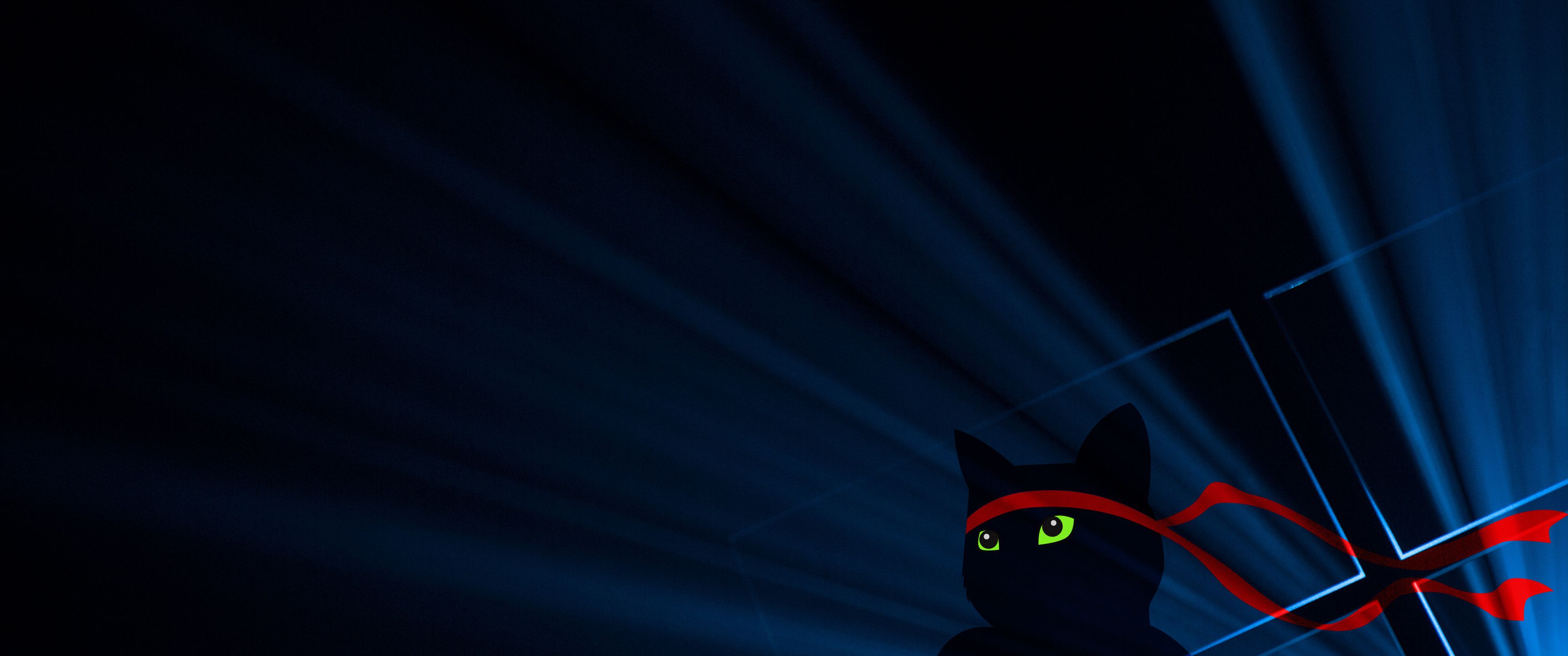 3440x1440 Download Windows Ninjacat, Ninja cat, Computer Wallpaper in 3440x1440 Resolution