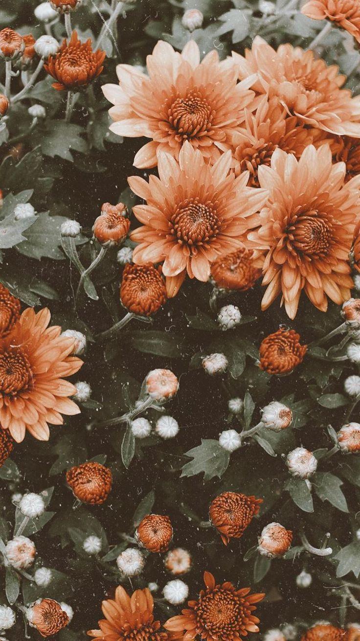 Nostalgic Phone Wallpapers - Top Free Nostalgic Phone Backgrounds