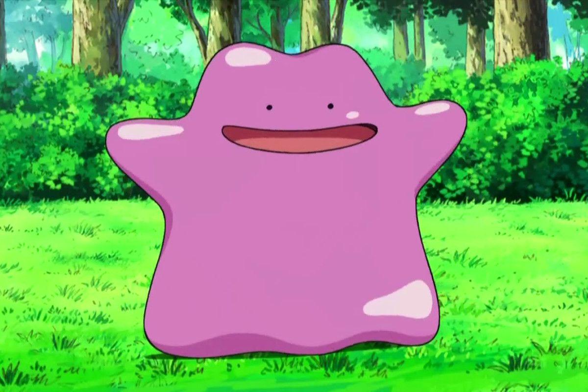 1200x800 Ditto HD Wallpaper