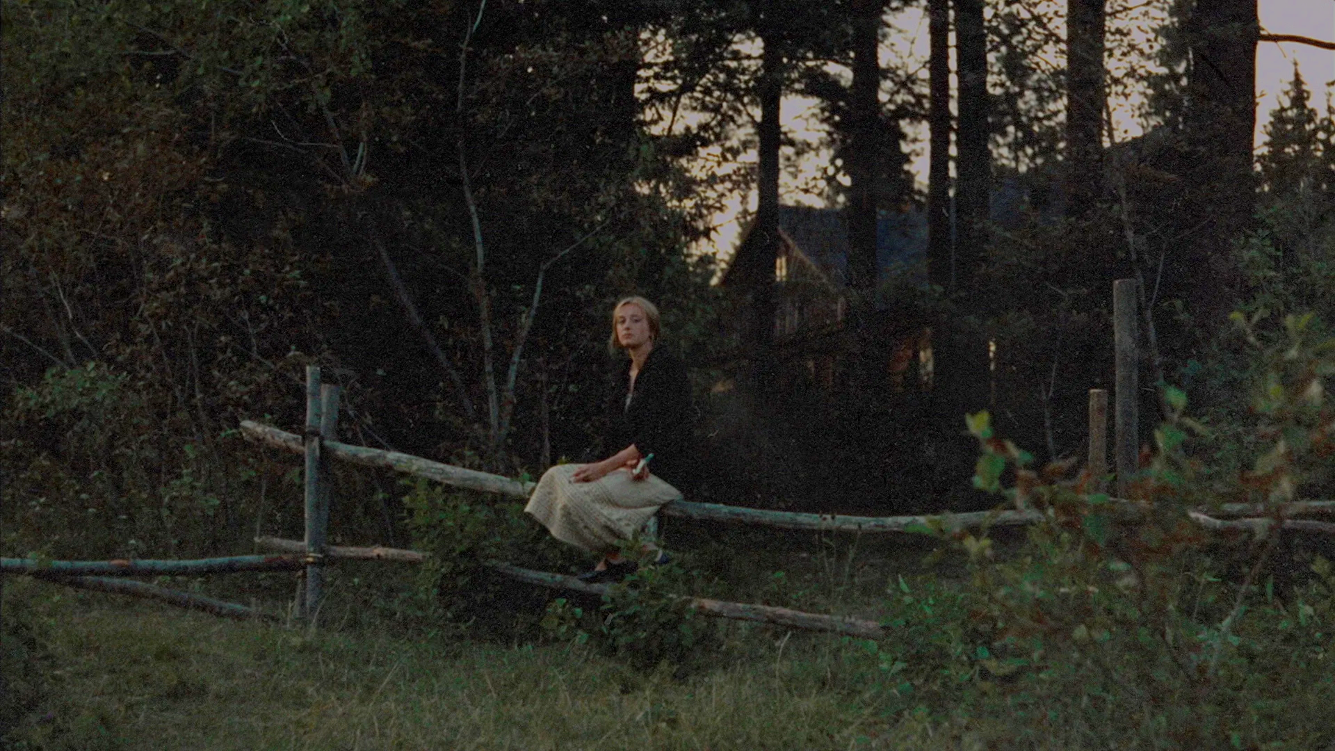 1920x1080 The films of Andrei Tarkovsky