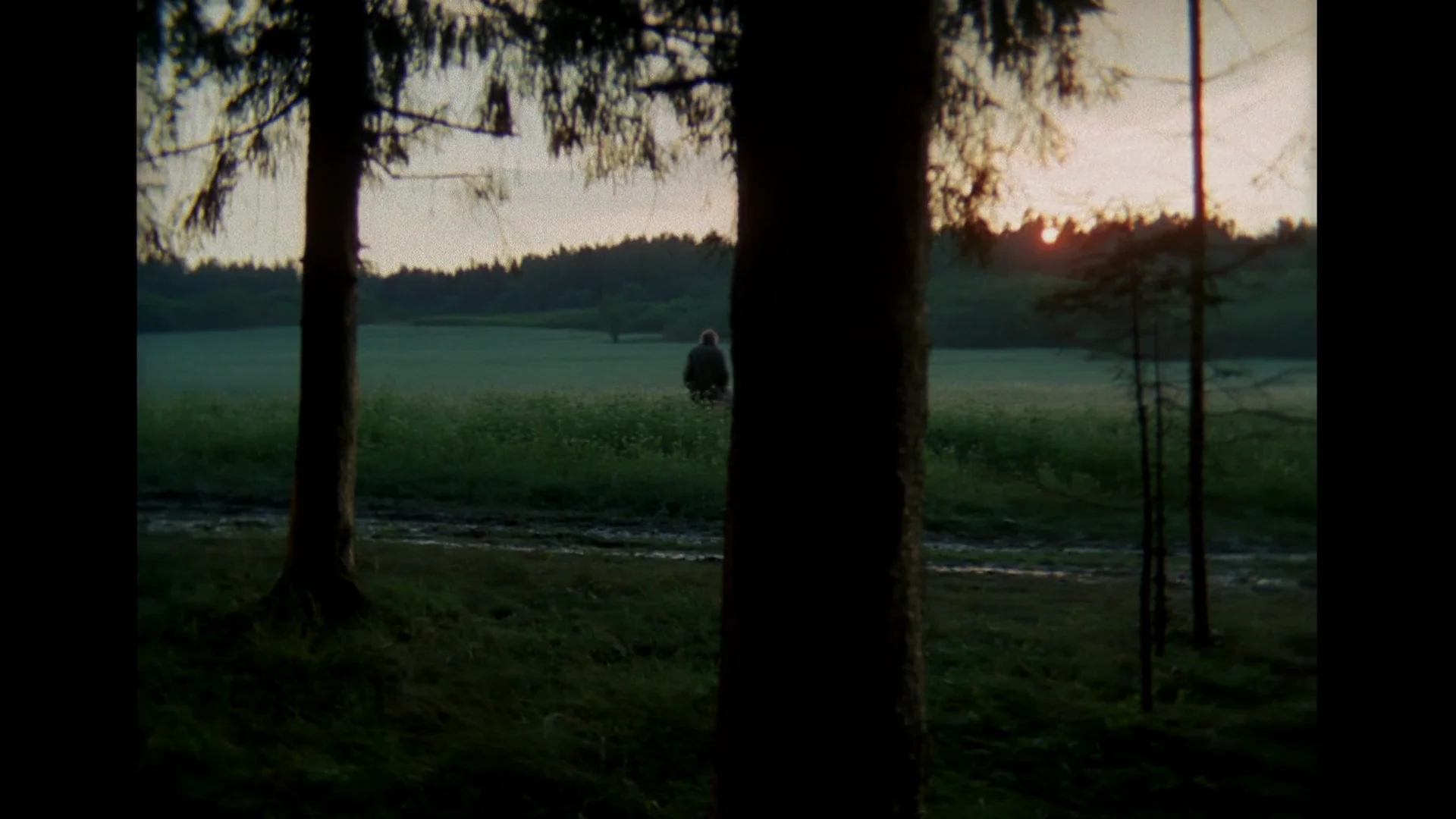 1920x1080 A Scene from THE MIRROR