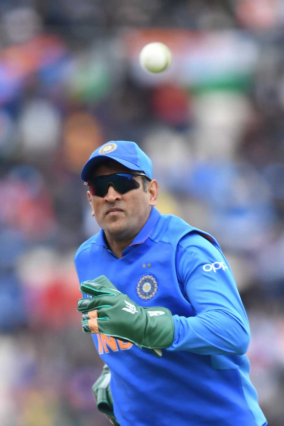 960x1439 Cricket Photo vs SA, 8th match Picture