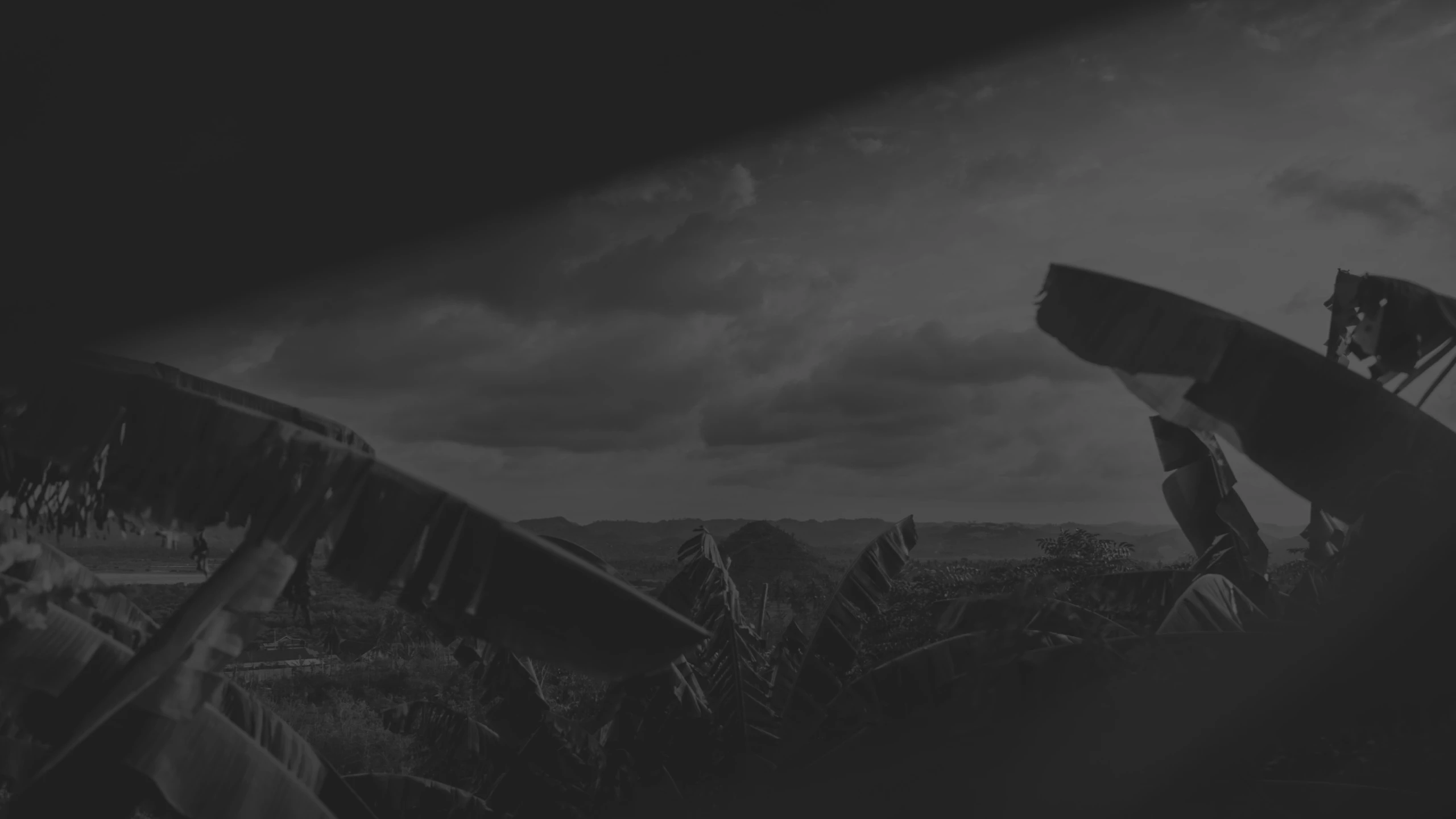 2560x1440 SOMEONEs STUDIO