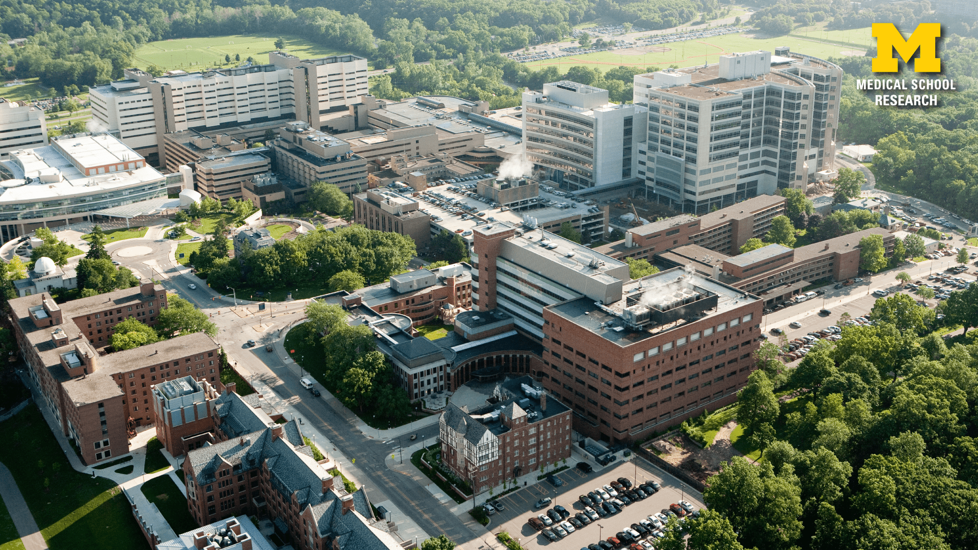 1920x1080 Zoom Background for Medical School Research. Office of Research