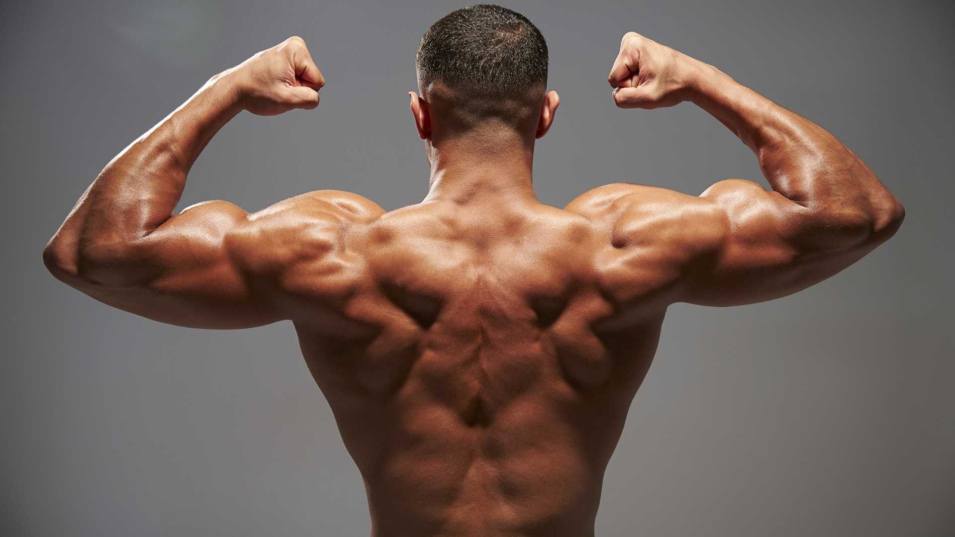 1920x1080 How to Build Muscle Ways to Gain Your Back Muscles