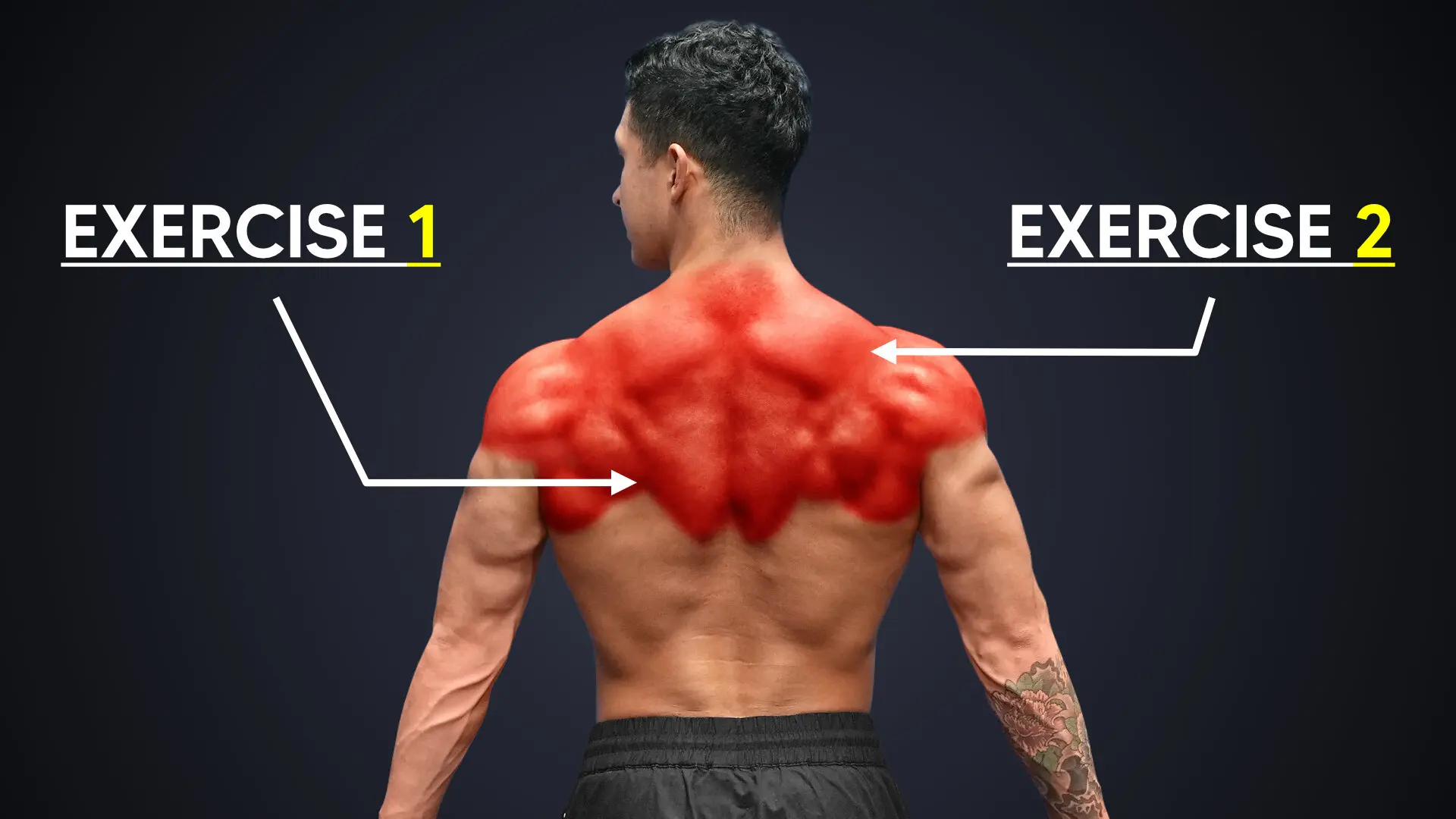 1920x1080 The ONLY 2 Thick Back Exercises You Need For Serious Mass