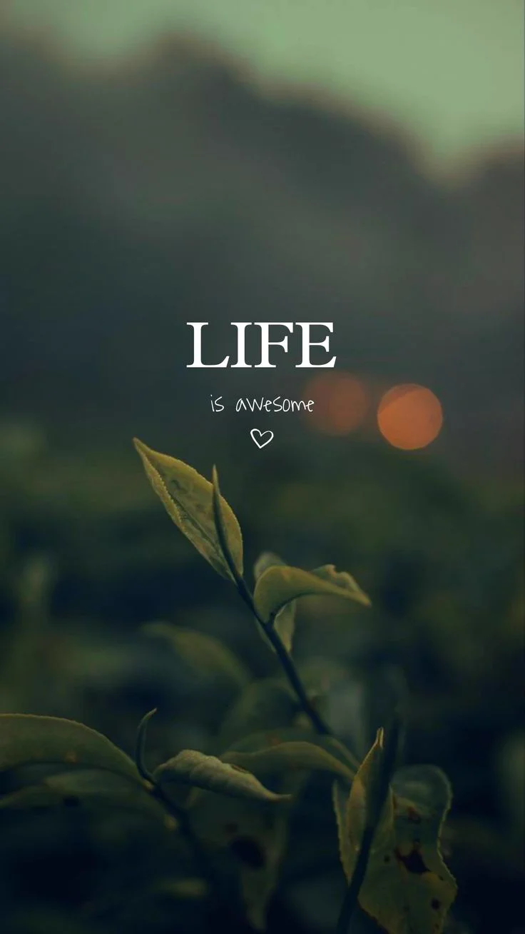 736x1308 4K Wallpaper Recap on X: 4K HD Android Lock Screen Wallpaper Tap Hold Load 8K iPhone iOS theme aesthetic quotes. / X