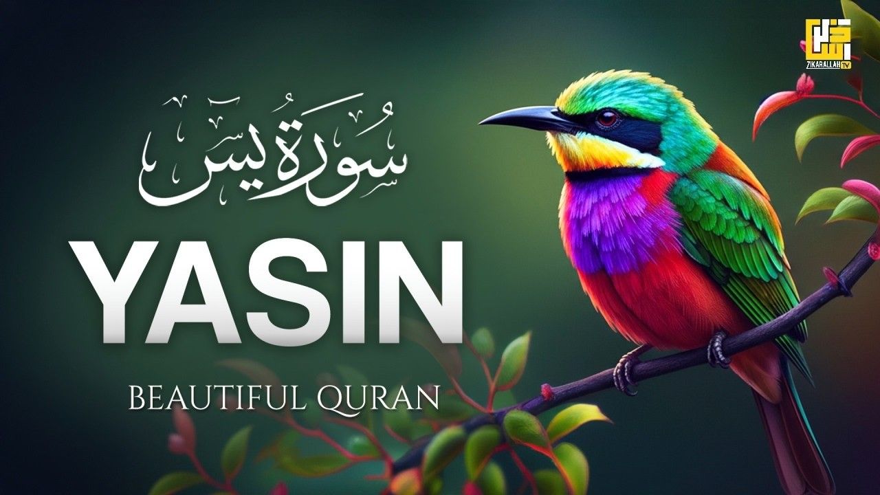 1280x720 Surah Yaseen (Yasin) سورة يس. Soothing Night Quran for Healing & Relaxing Sleep #lofiquran