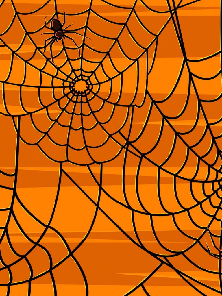 768x1024 Halloween Spider Wallpaper