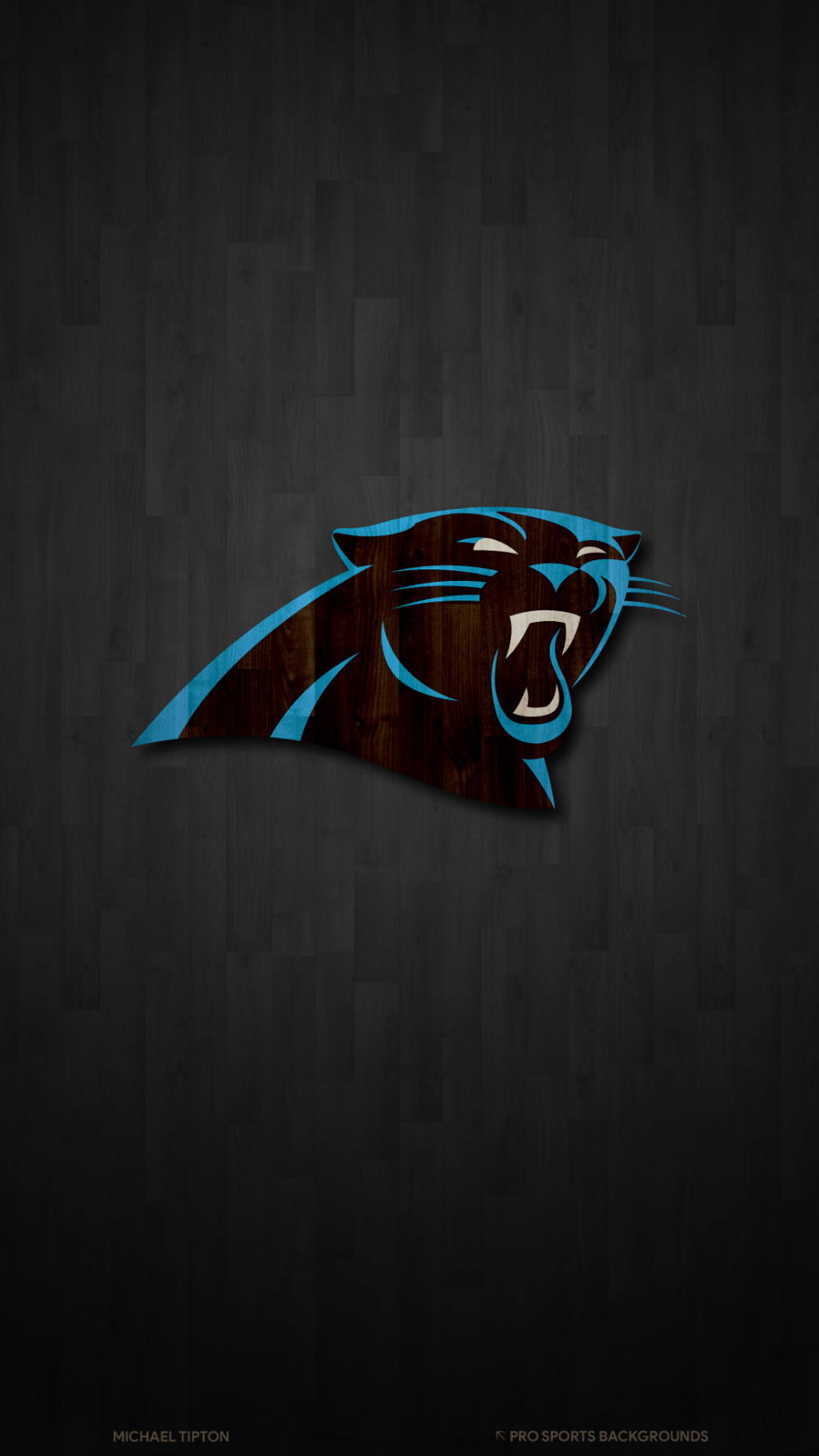 Download Carolina Panthers Full Logo Wallpaper