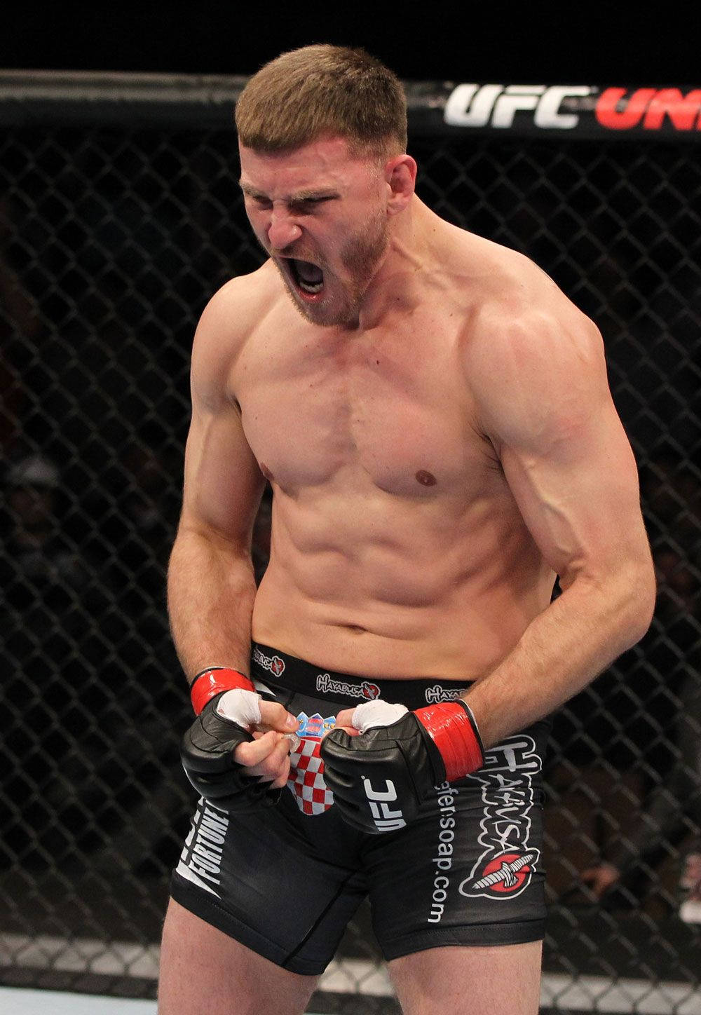 1000x1448 Download Stipe Miocic Shouting In Octagon Wallpaper