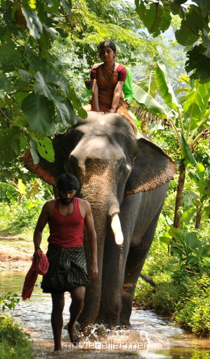 700x1199 Kumki Movie Wallpaper