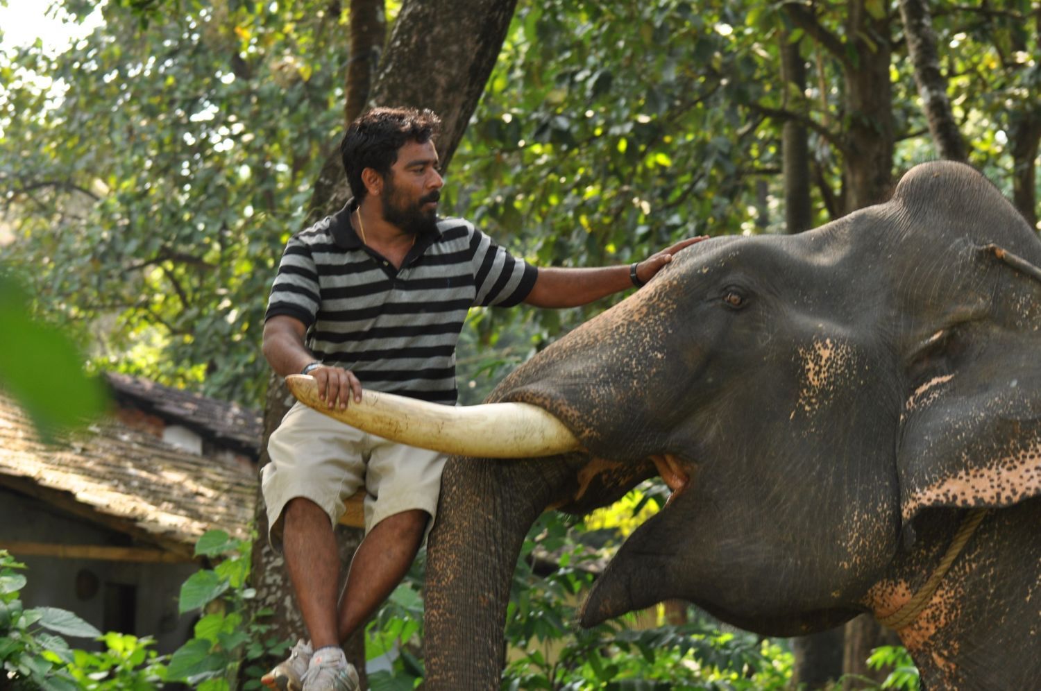 1500x996 Kumki Latest Unseen Onlocation