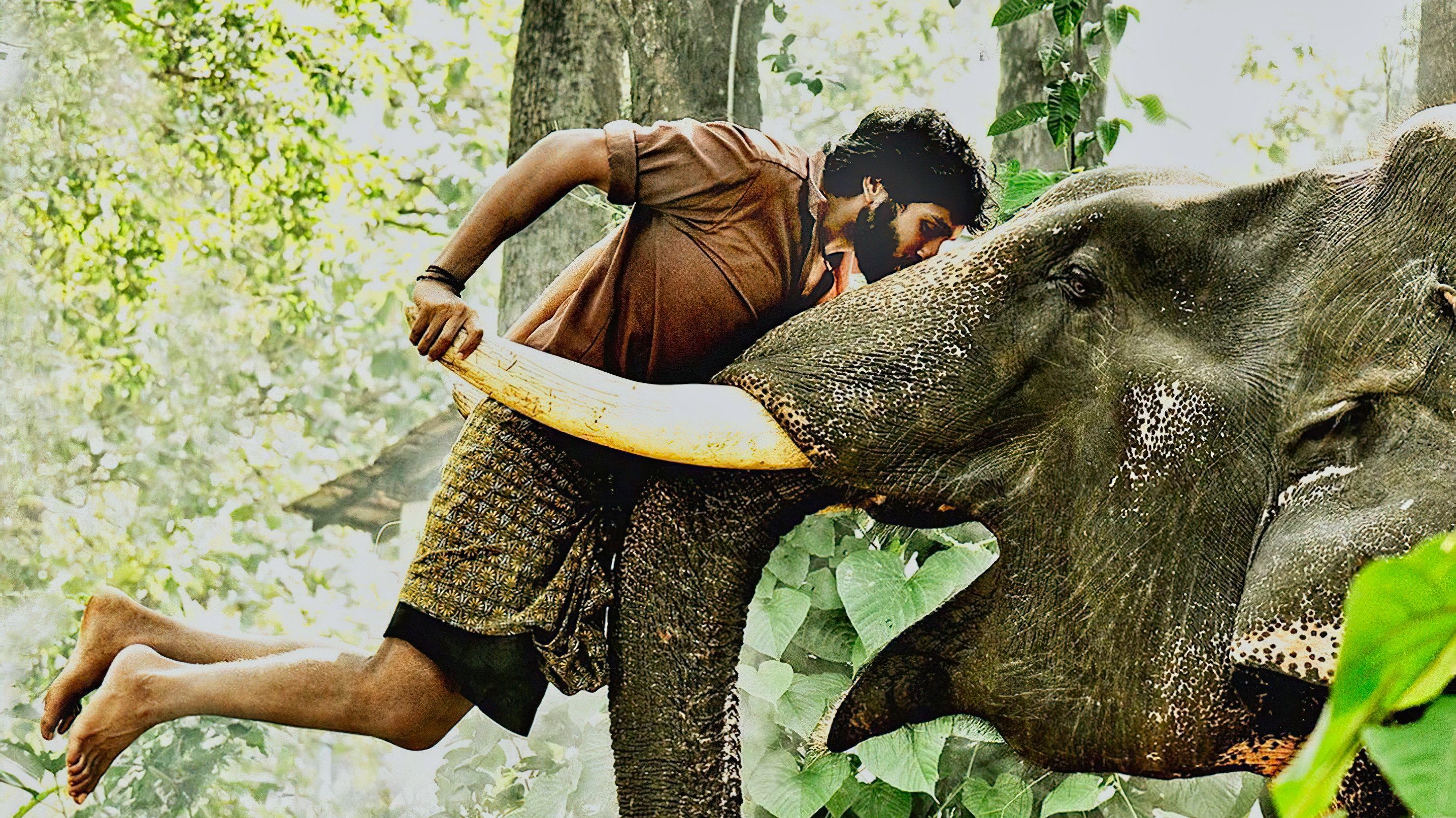 2868x1613 Kumki (2012)