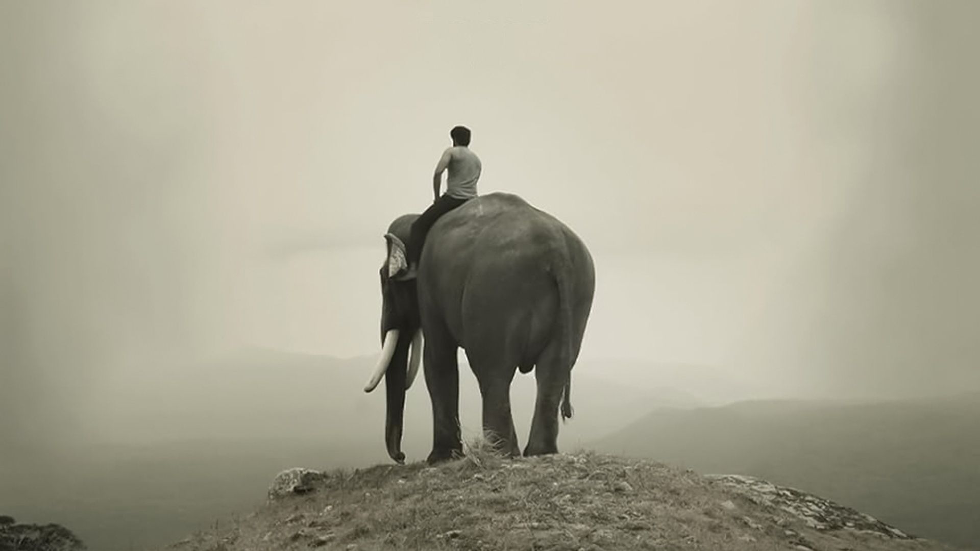 1920x1080 Where to Watch Kumki 2 (2025) Online