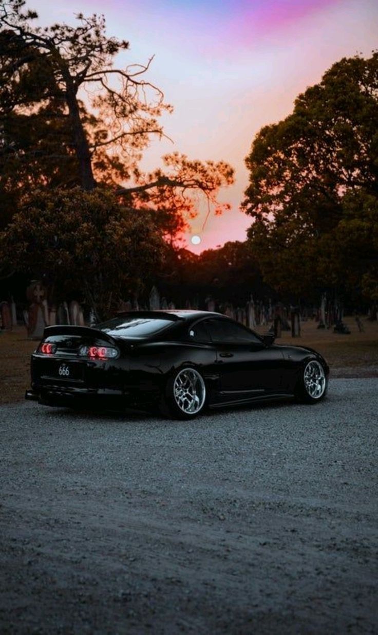 736x1235 Supra ❤