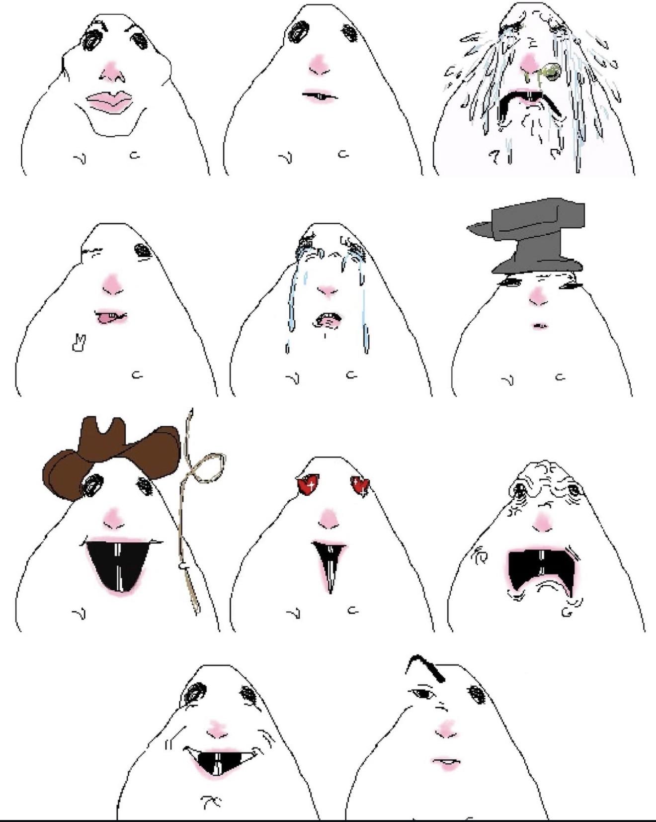 1320x1653 These stupid ass hamster that I keep seeing on TikTok