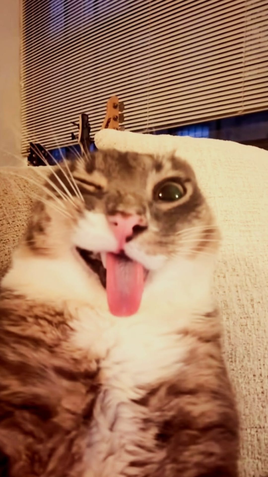 1080x1920 Wallpaper for Phone Meme