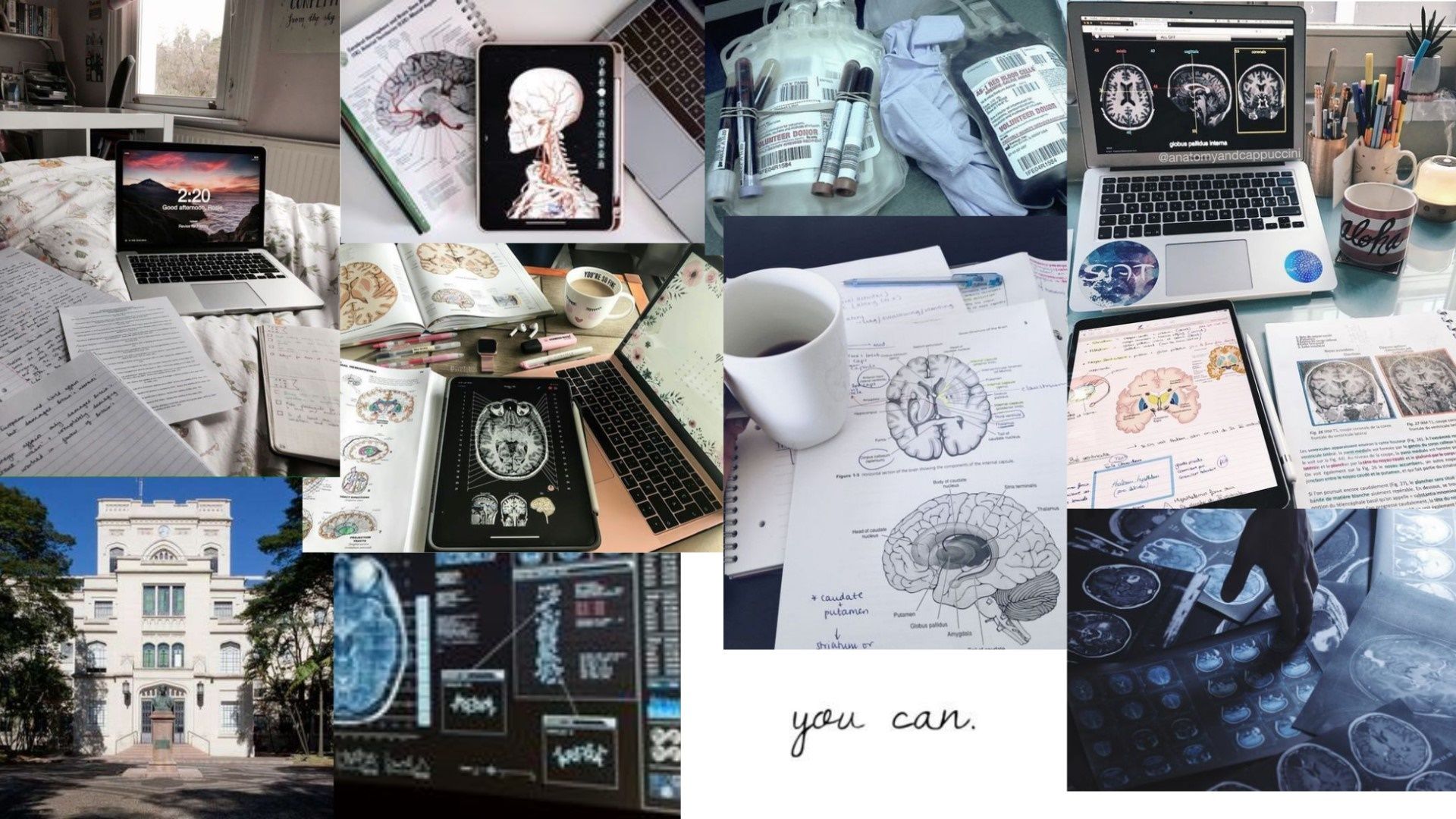 1920x1080 Empowering Medical Study Motivation Wallpaper