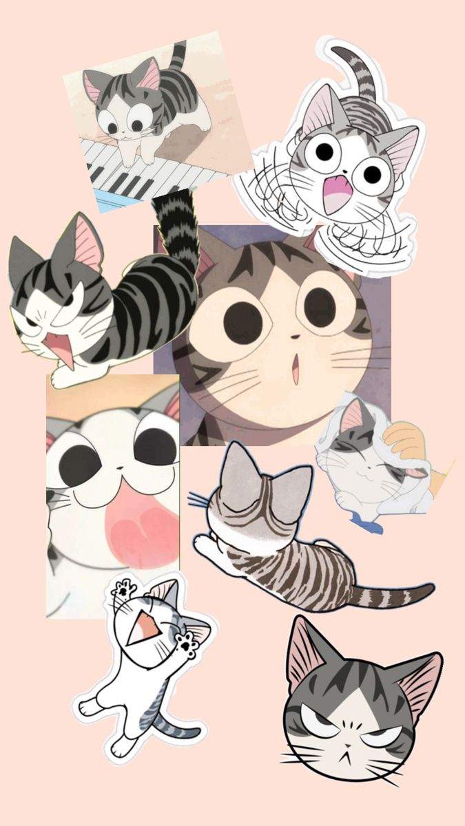 675x1200 Chi Collage. Cute cats and kittens, Cute memes, Wallpaper iphone cute