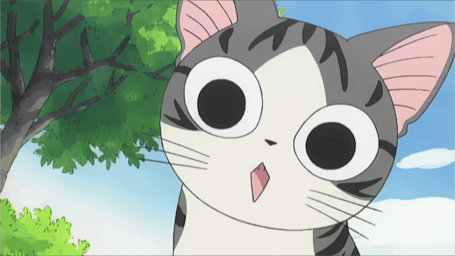 1920x1080 CHI Cat's Life