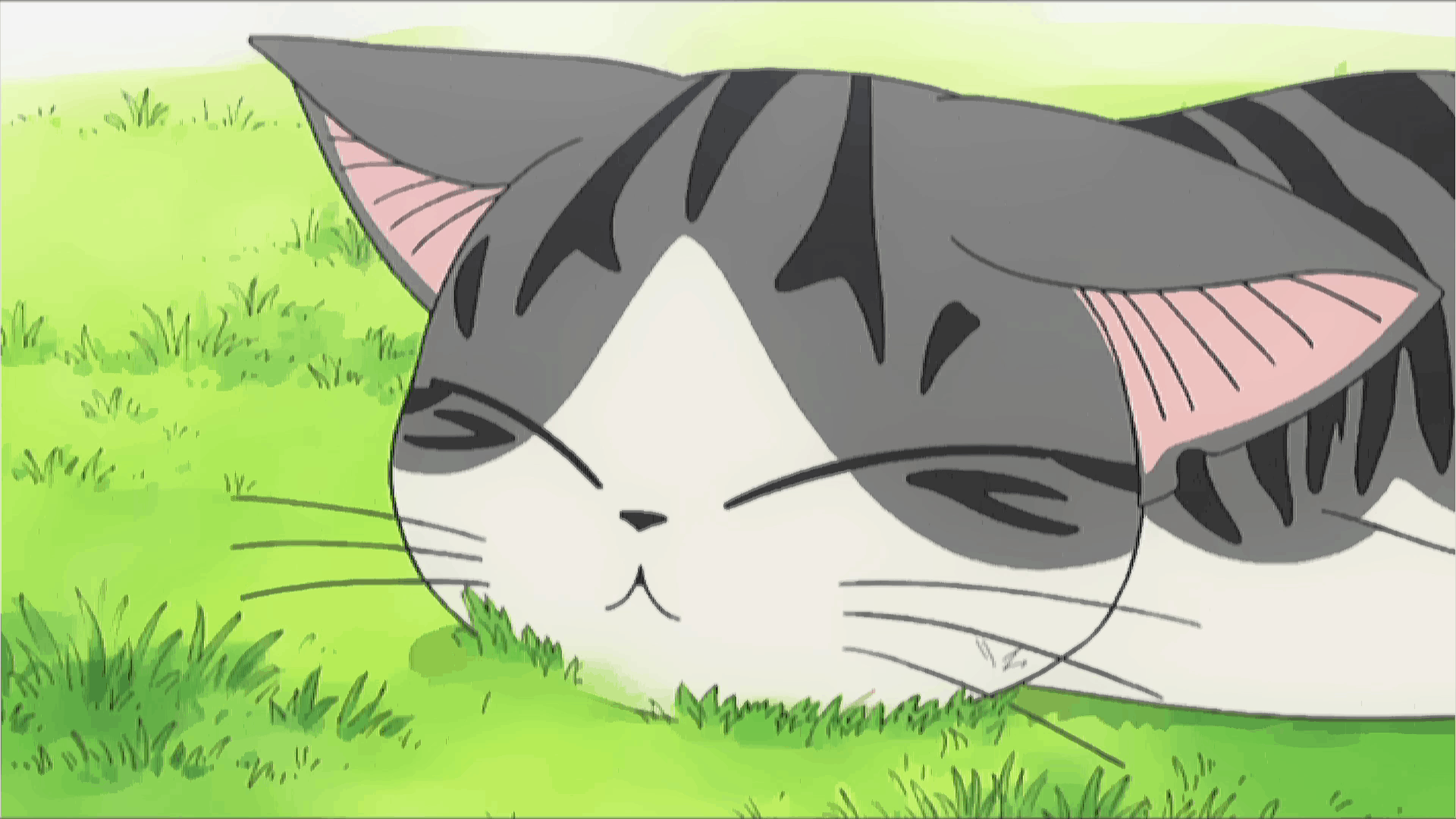 1920x1080 CHI Cat's Life