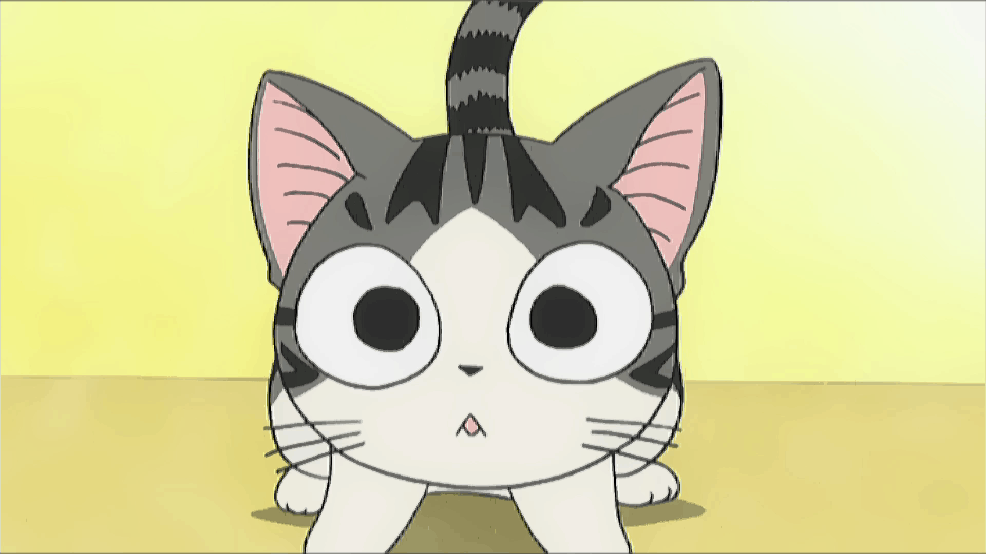 1920x1080 CHI Cat's Life