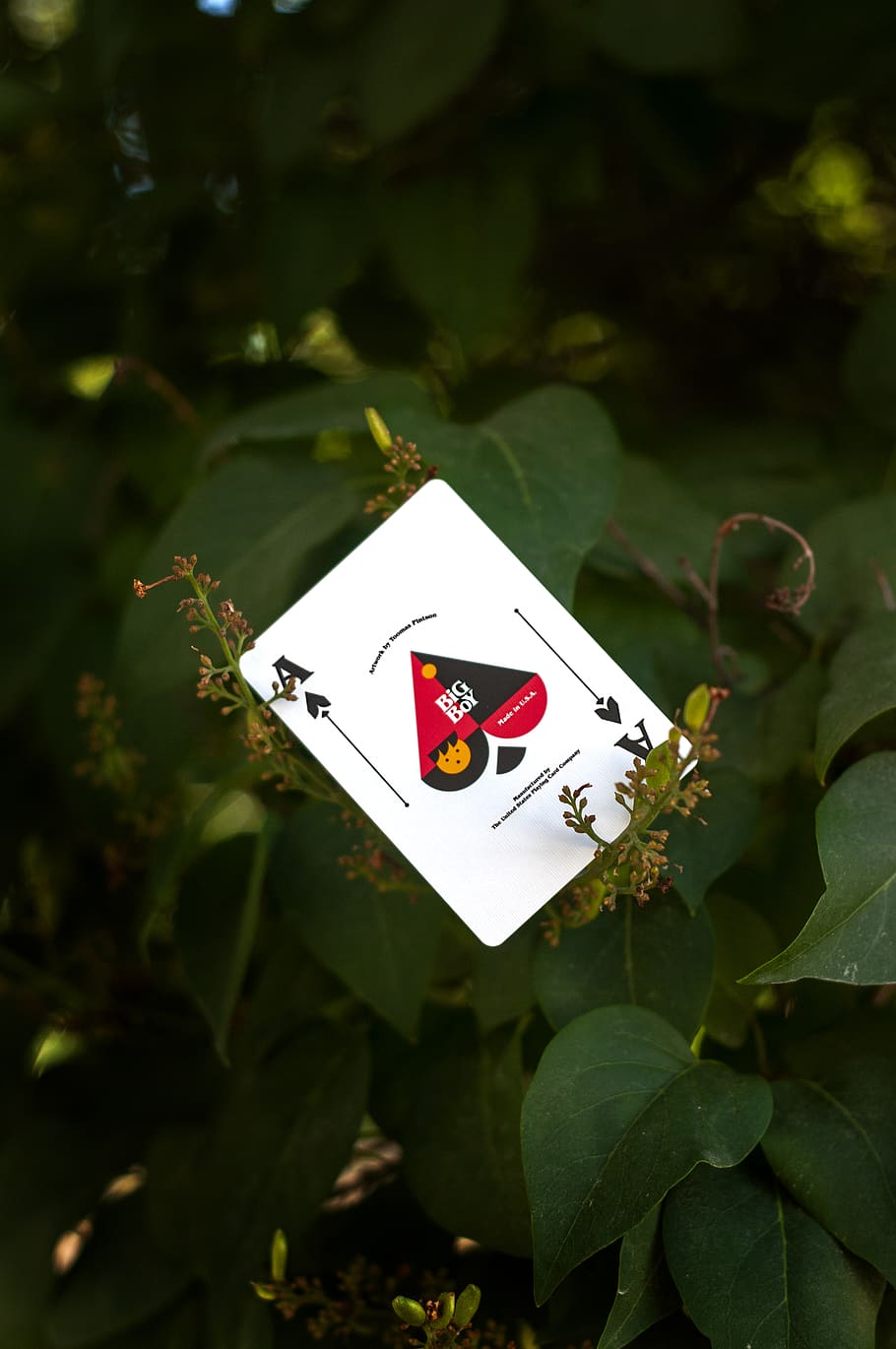 910x1370 Cardistry Wallpaper