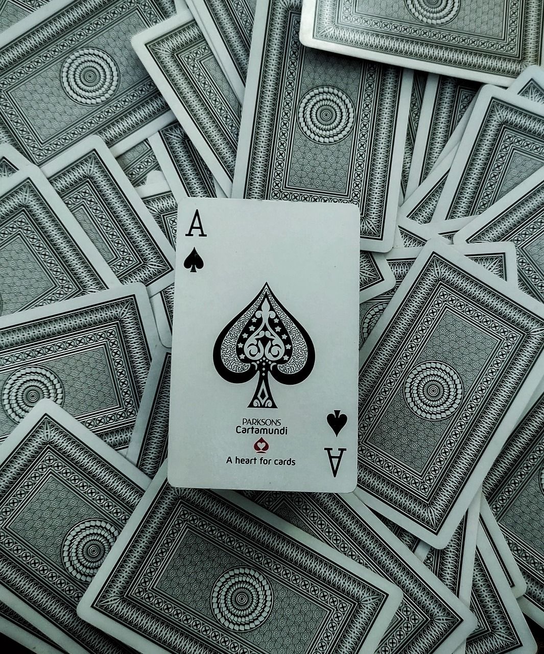 1065x1280 Free Cardistry & Magic Image