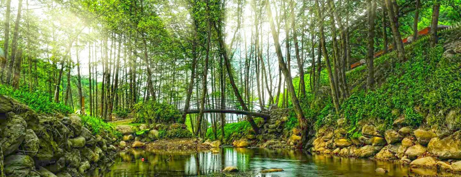 1600x615 Tickets To Daily Sapanca And Masukiye Tour: Full Day Trip From Istanbul