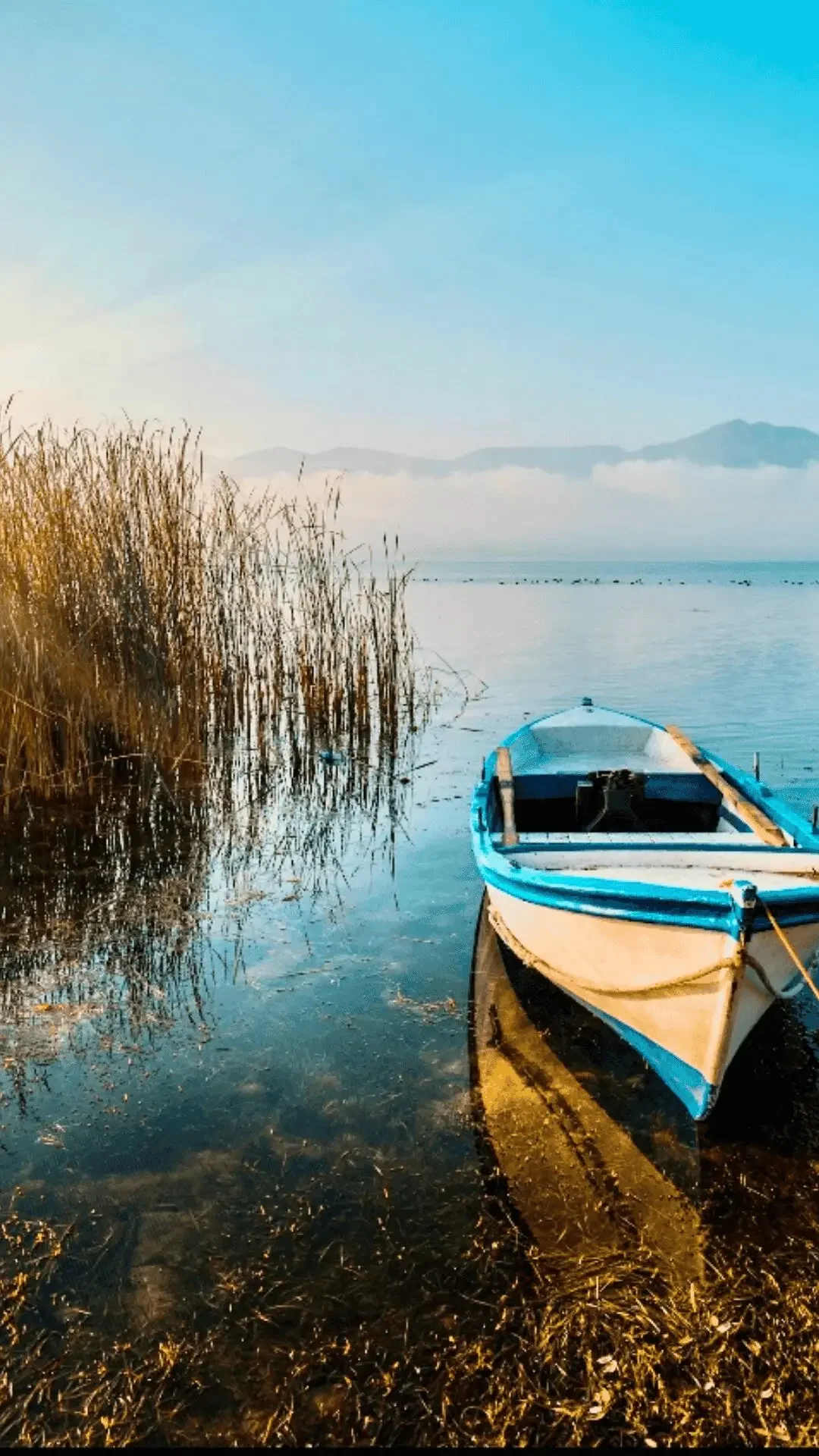 1080x1920 Sapanca Masukiye Tour from Istanbul with Shopping and Lunch