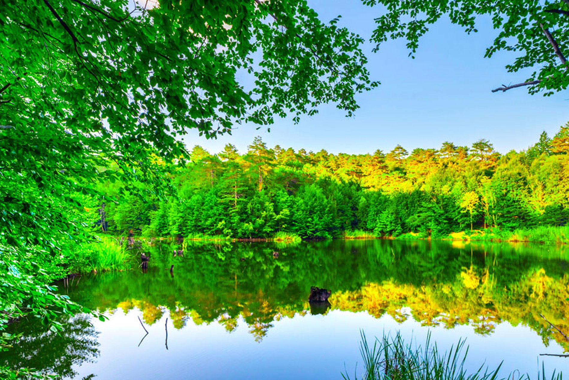 1900x1271 Sapanca