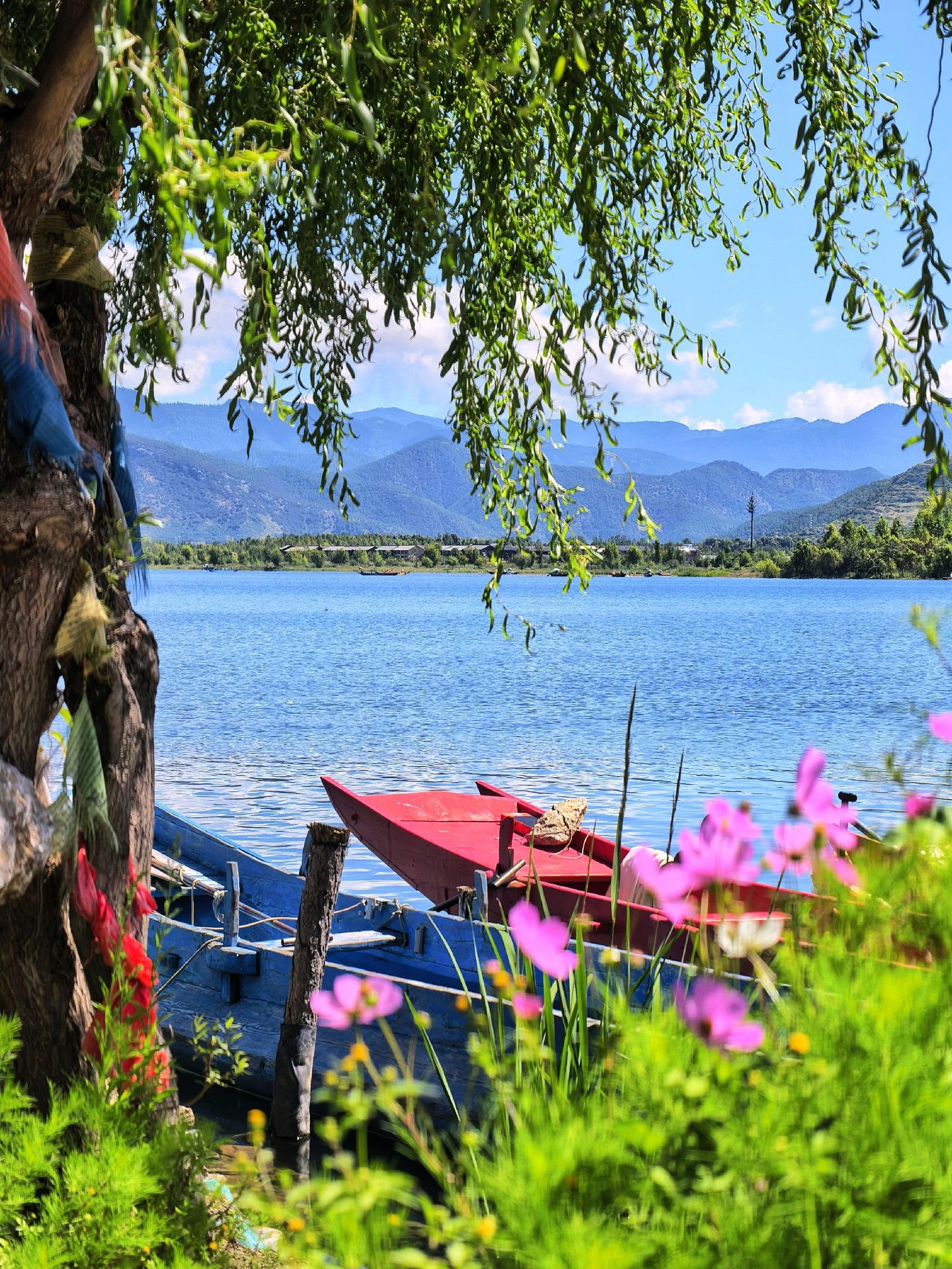 1440x1920 Lugu Lake East Bank. Encountering the Grass Sea and Mosuo romance on the Walking Marriage Bridge. Trip.com Ninglang