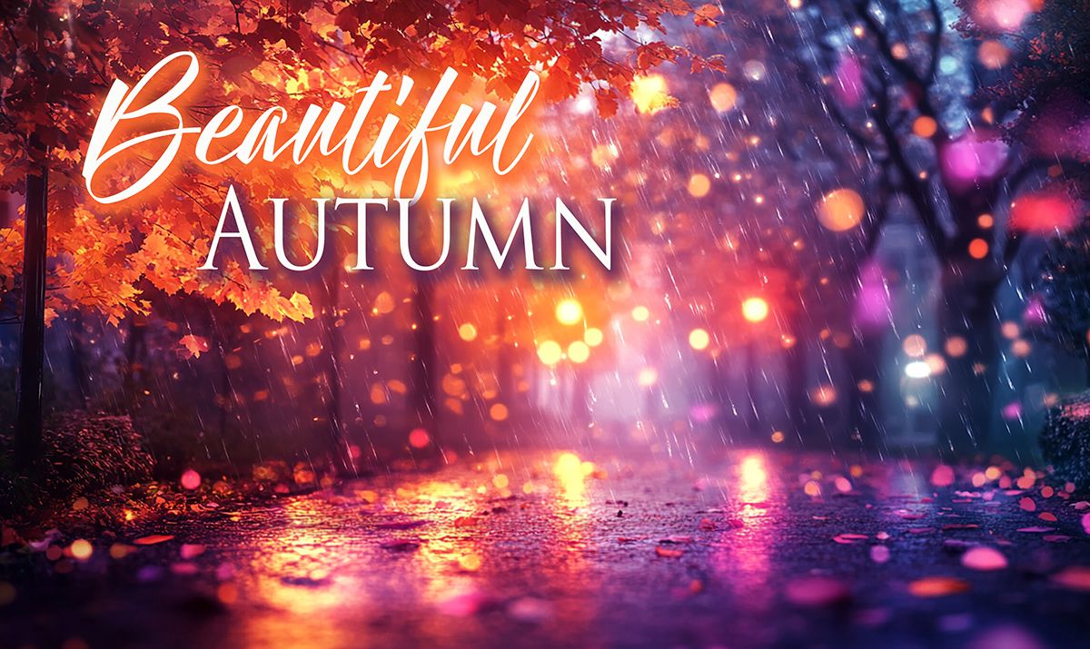 1200x715 Beautiful Autumn and Orange Park Scene Stock Image