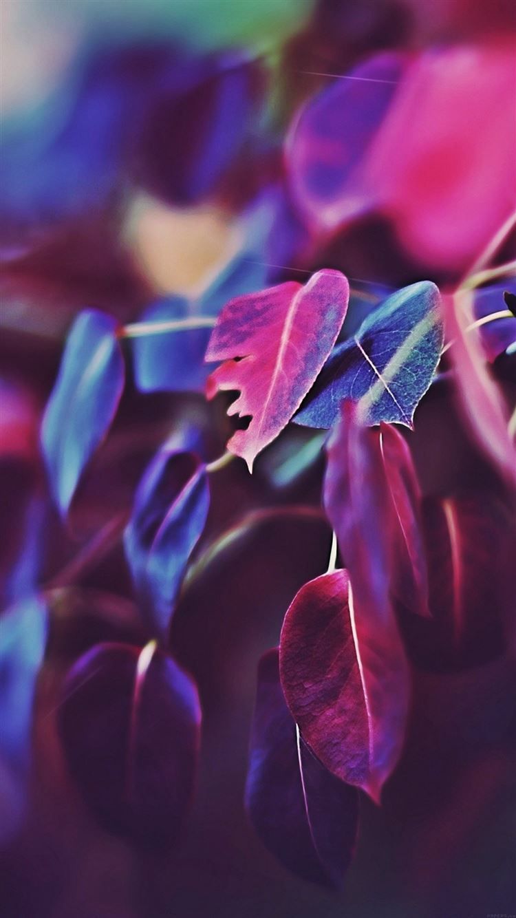 750x1334 Best purple iPhone 8 Wallpaper Free HD