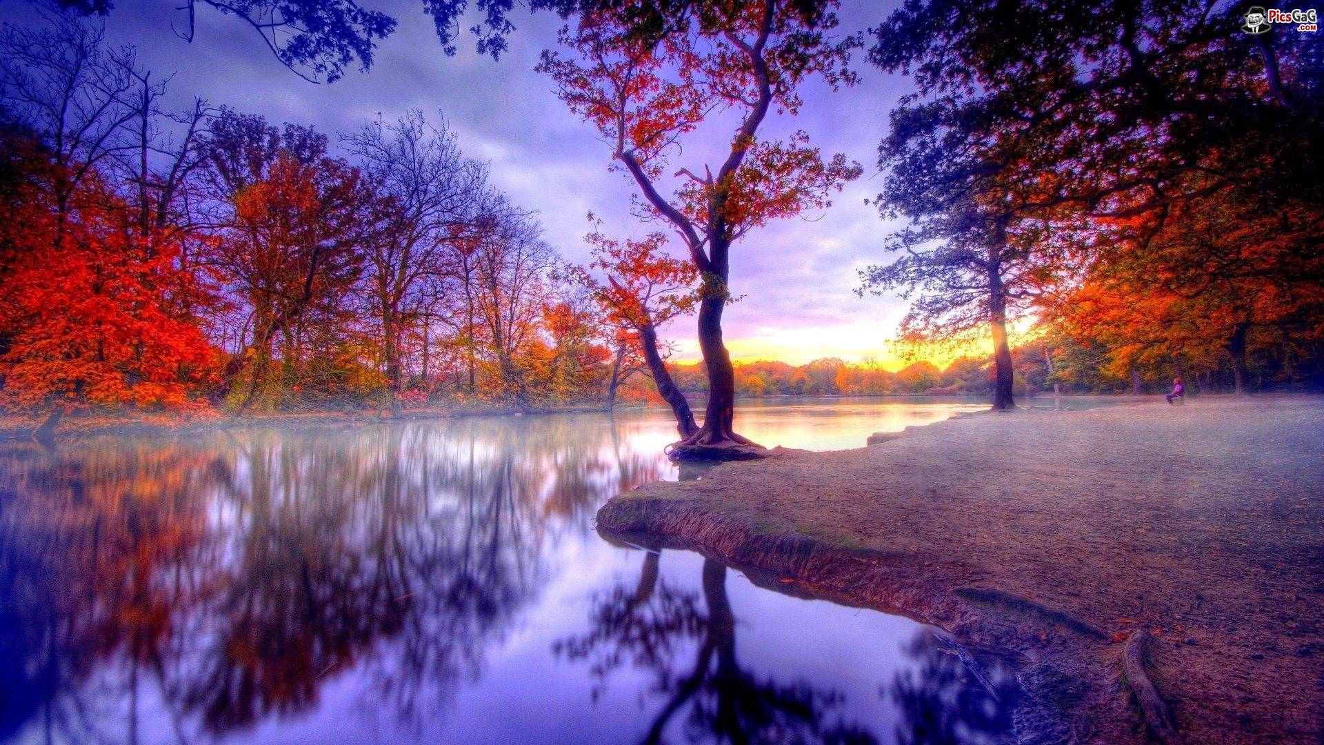 1920x1080 Fall Nature Wallpaper With Quotes. QuotesGram