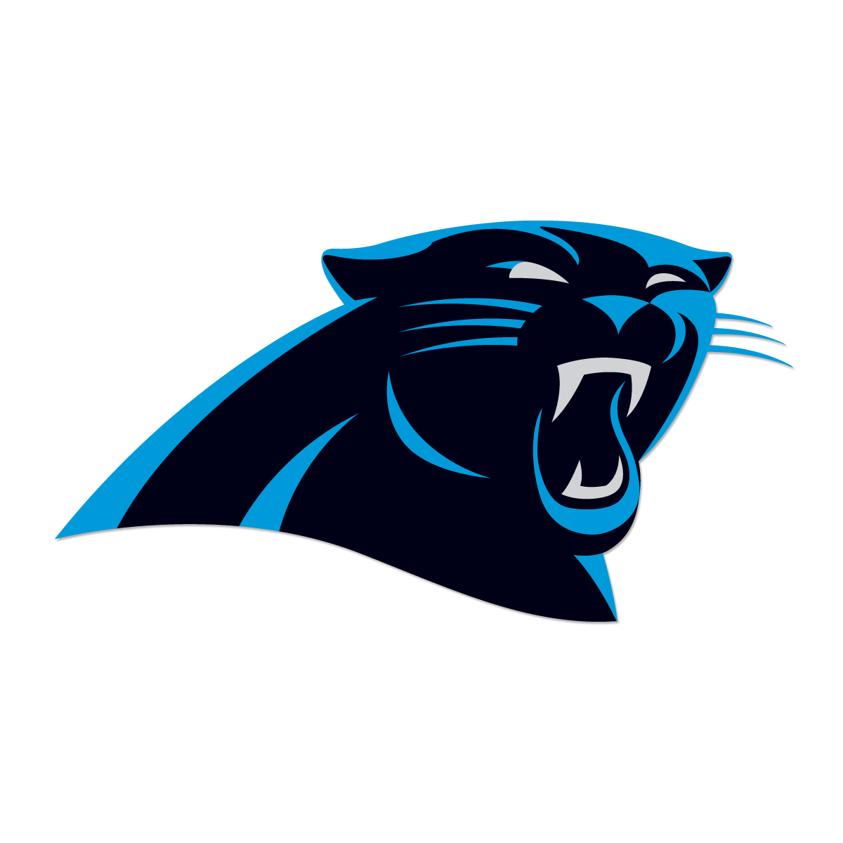 1200x1200 Carolina Panthers Wallpaper HD Background