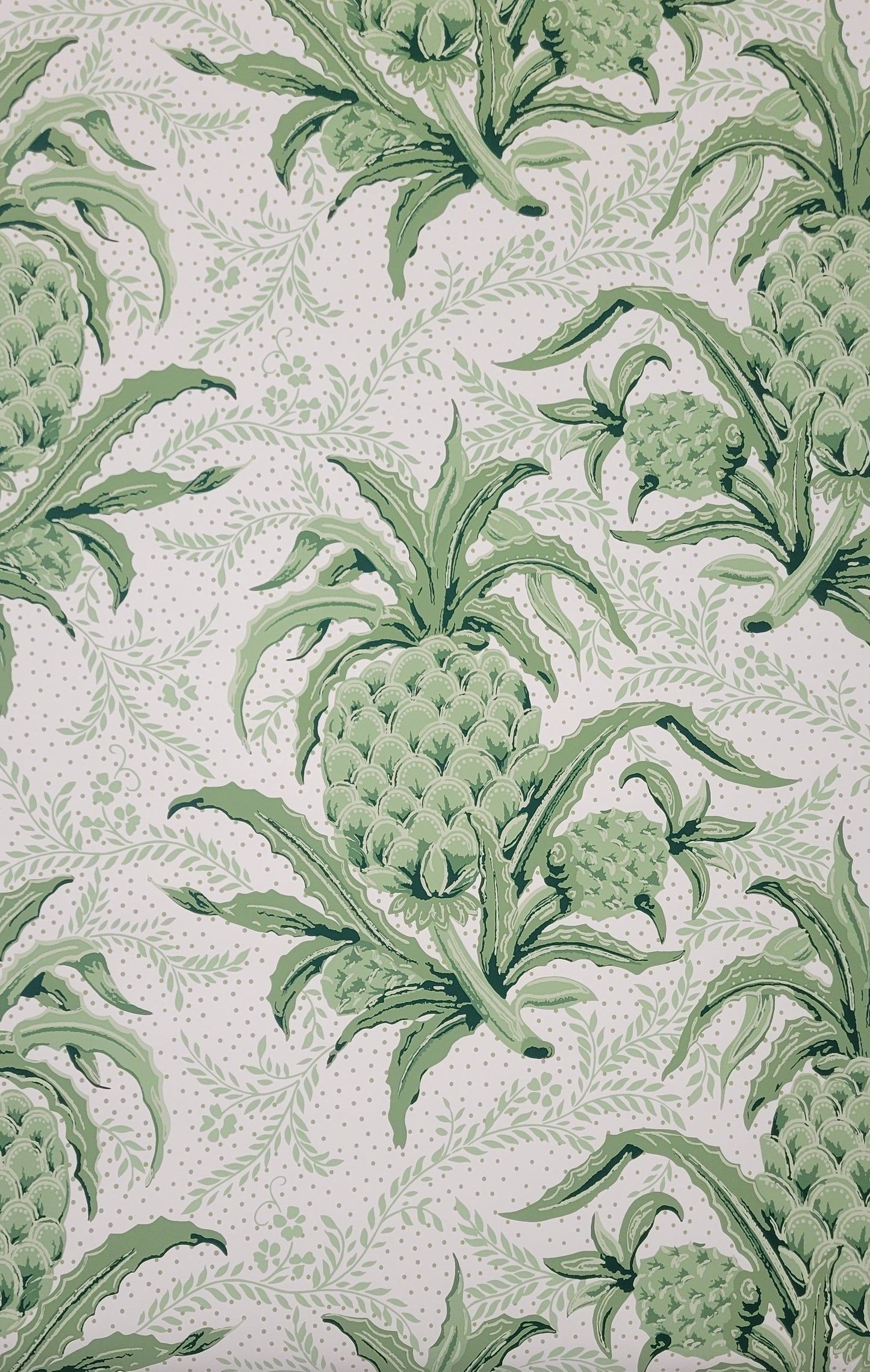 1445x2279 Tropicana Wallpaper
