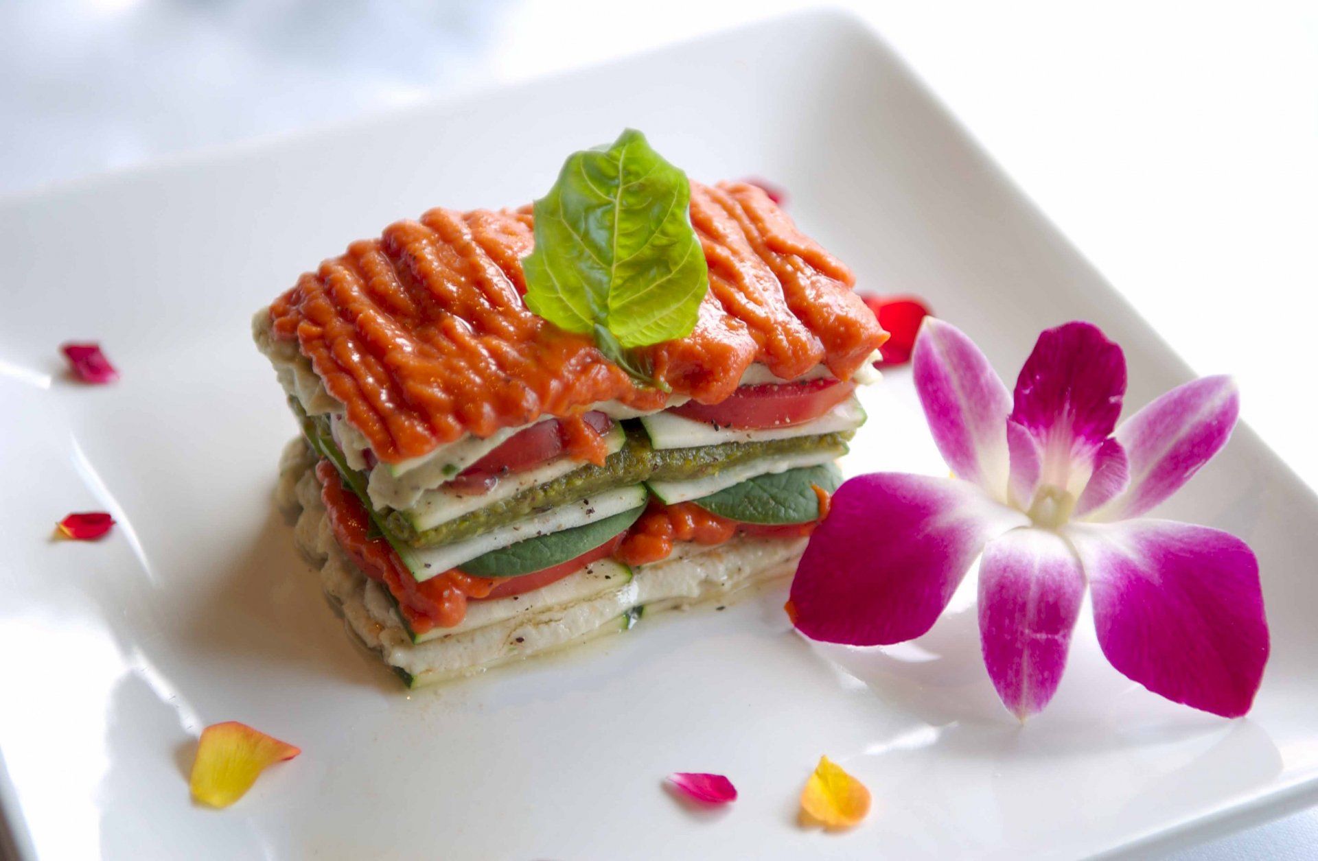 1920x1255 Gourmet Layered Meal Ultra HD Wallpaperx2624