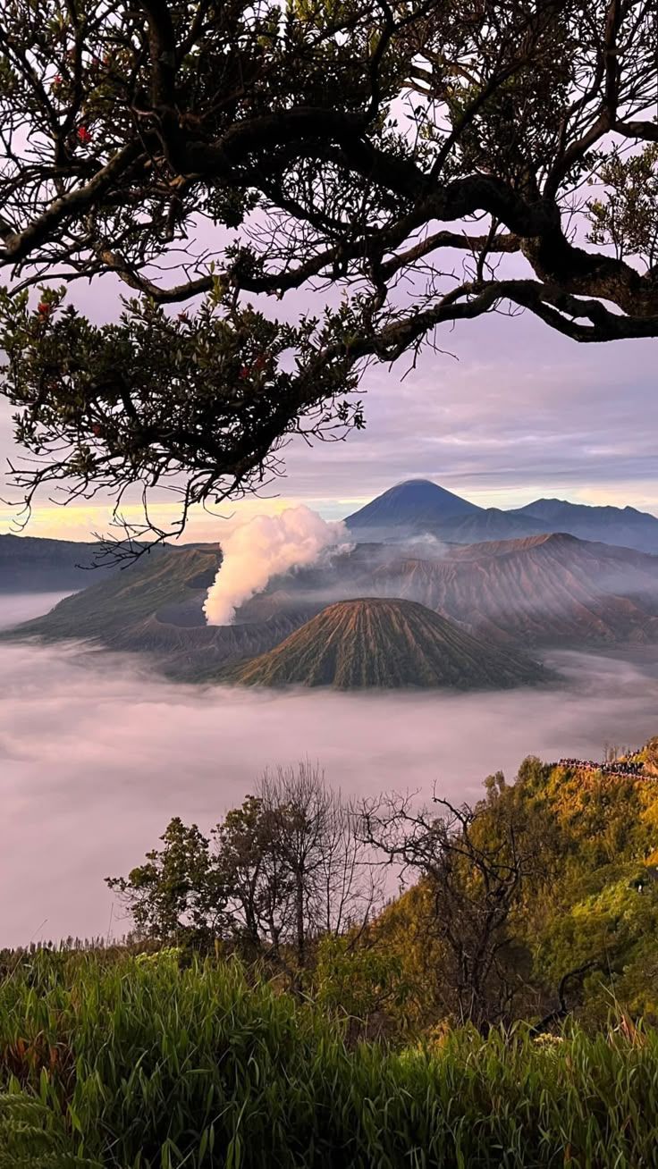 736x1308 Bromo