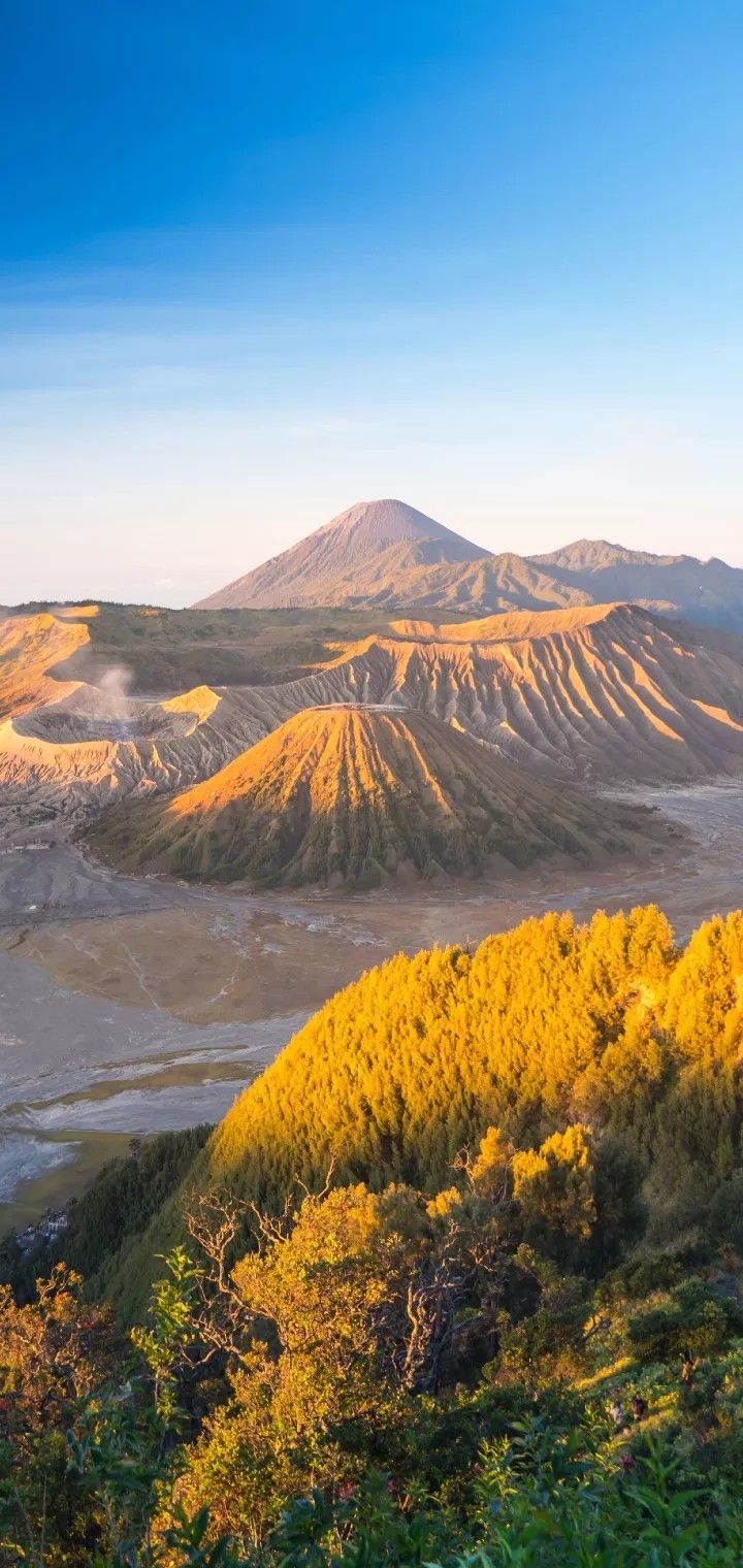 720x1520 Mount Semeru: The Magnificent Active Volcano. Bromo volcano indonesia wallpaper, Yellow mountain background hd, Beautiful places