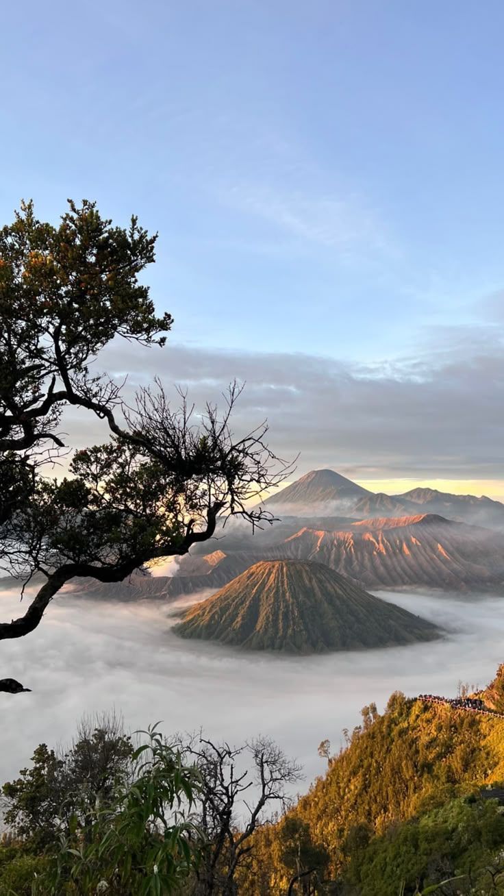 736x1308 bromo